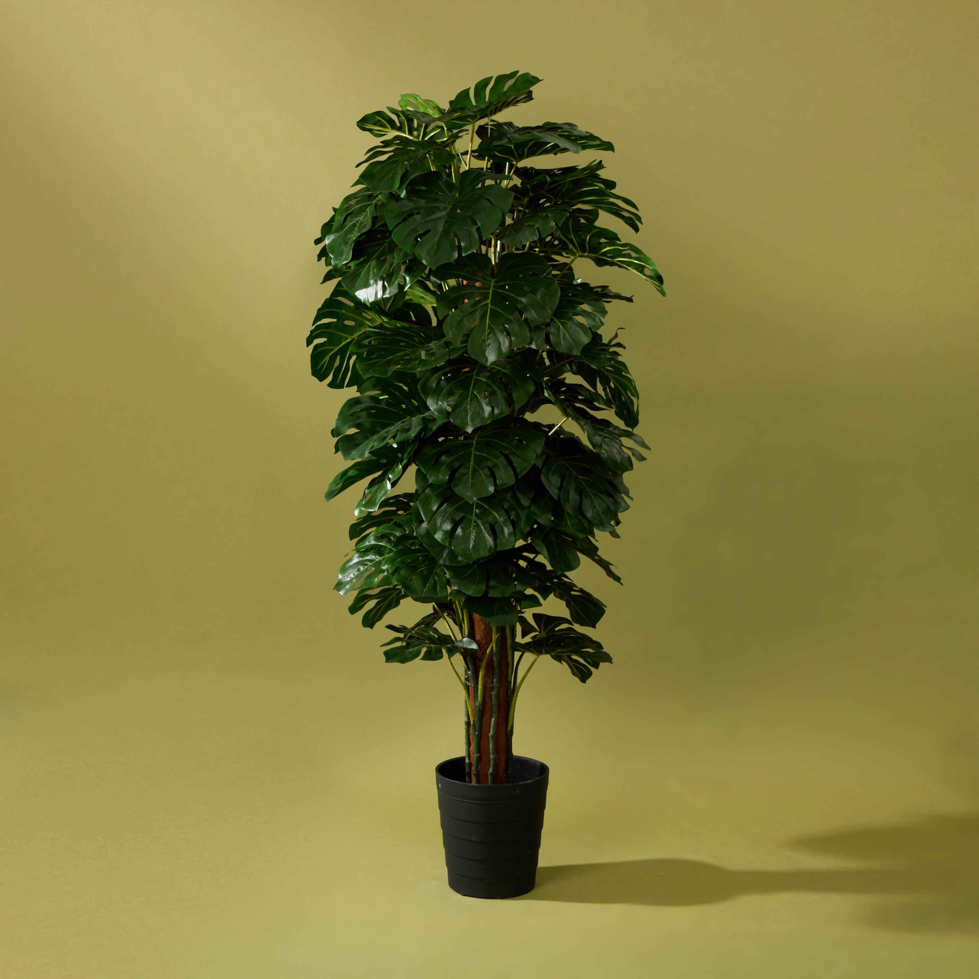 Faux Monstera UV Treated - Garden Pot | 180cm