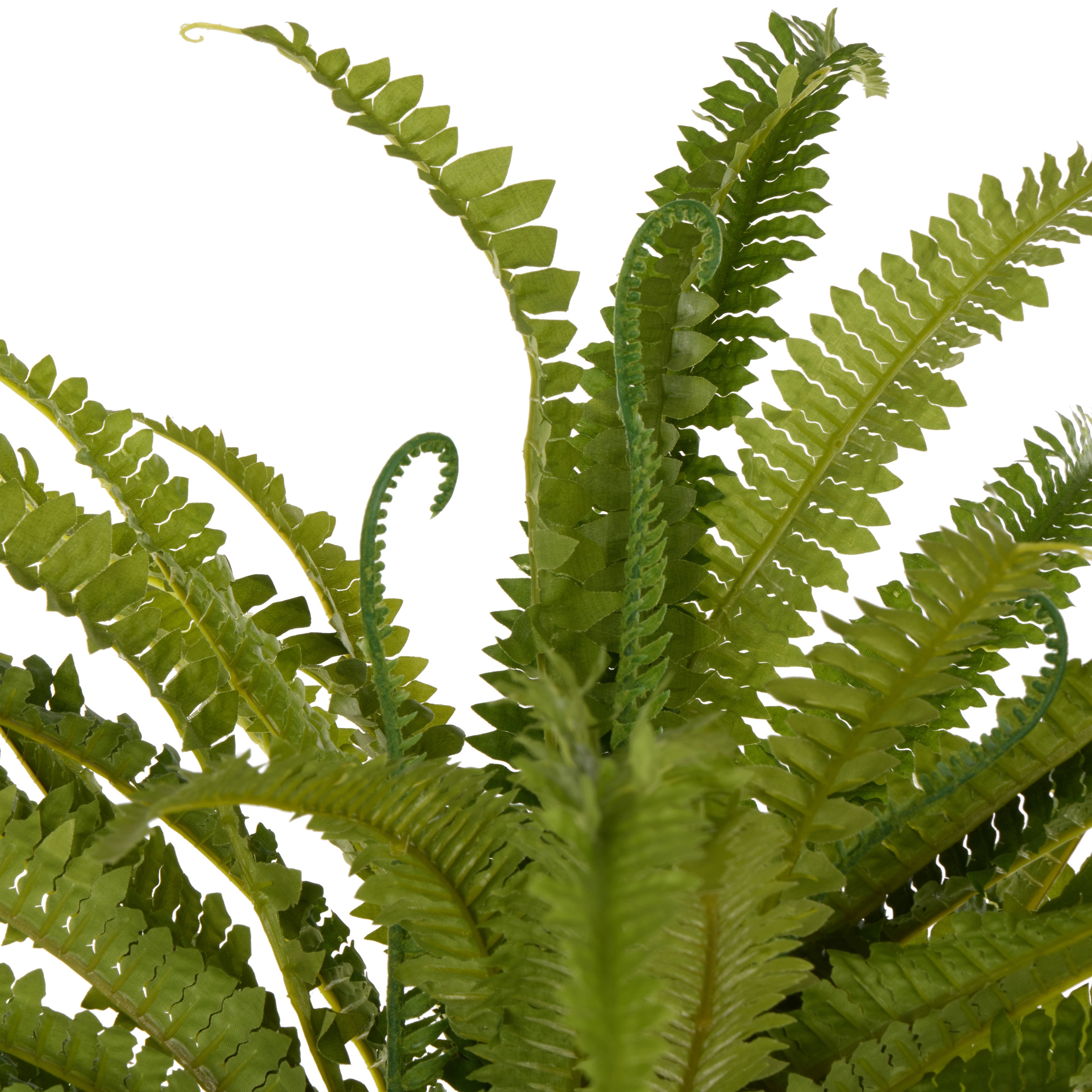 Faux Boston Wall Fern | Green - 90cm