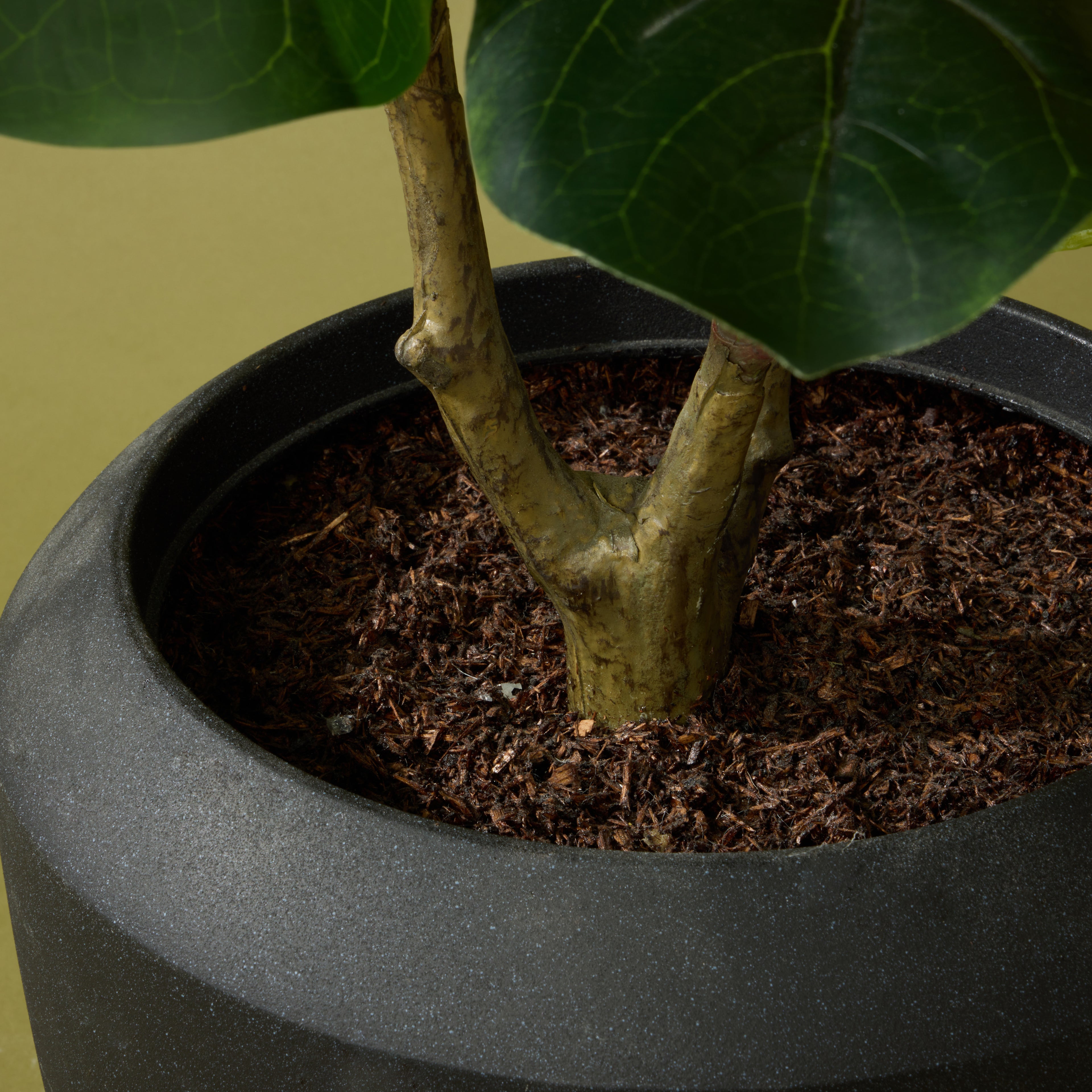 Faux Giant Fiddle Plant - Vienna Planter | Black - 100cm