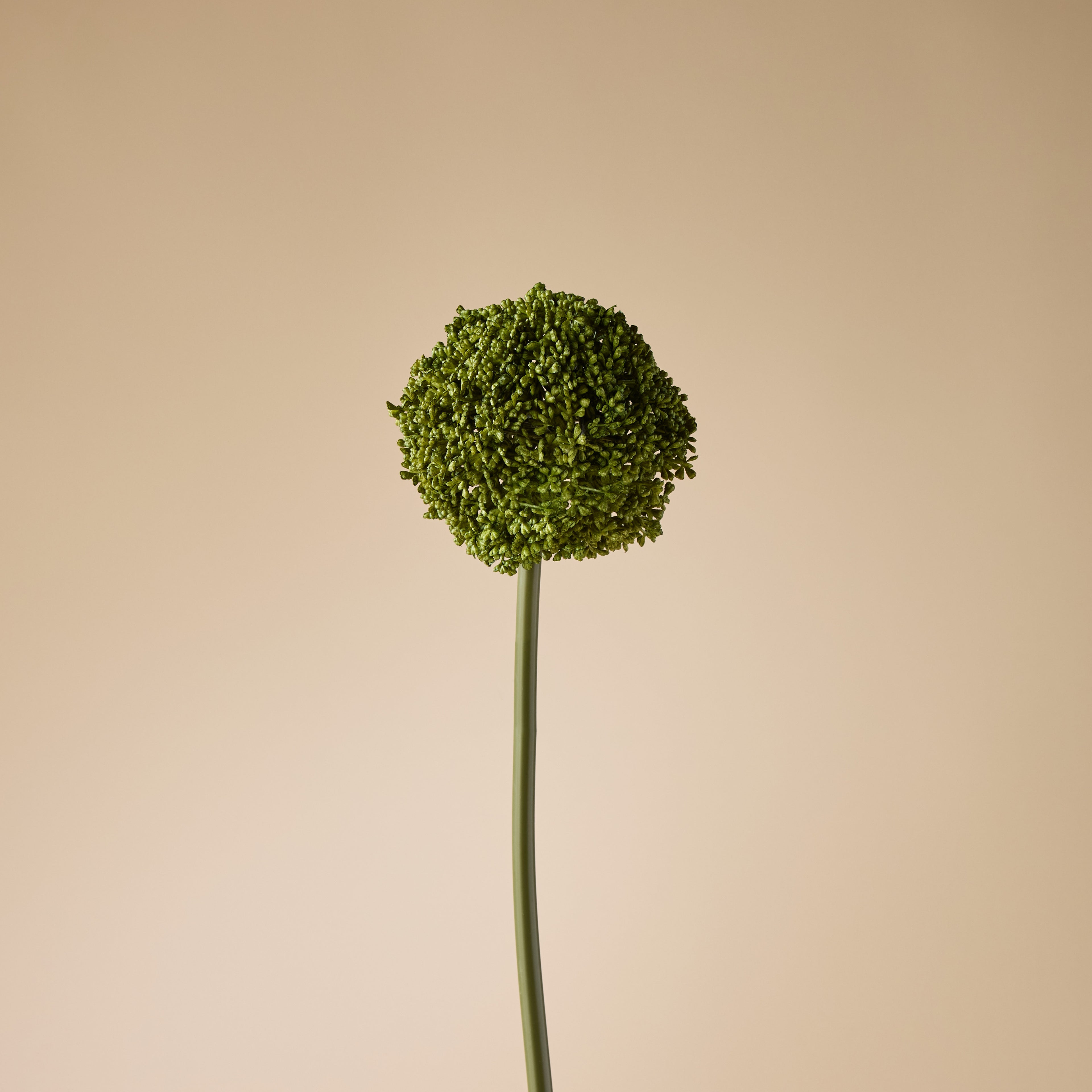 Faux Allium Stem | Green - 76cm