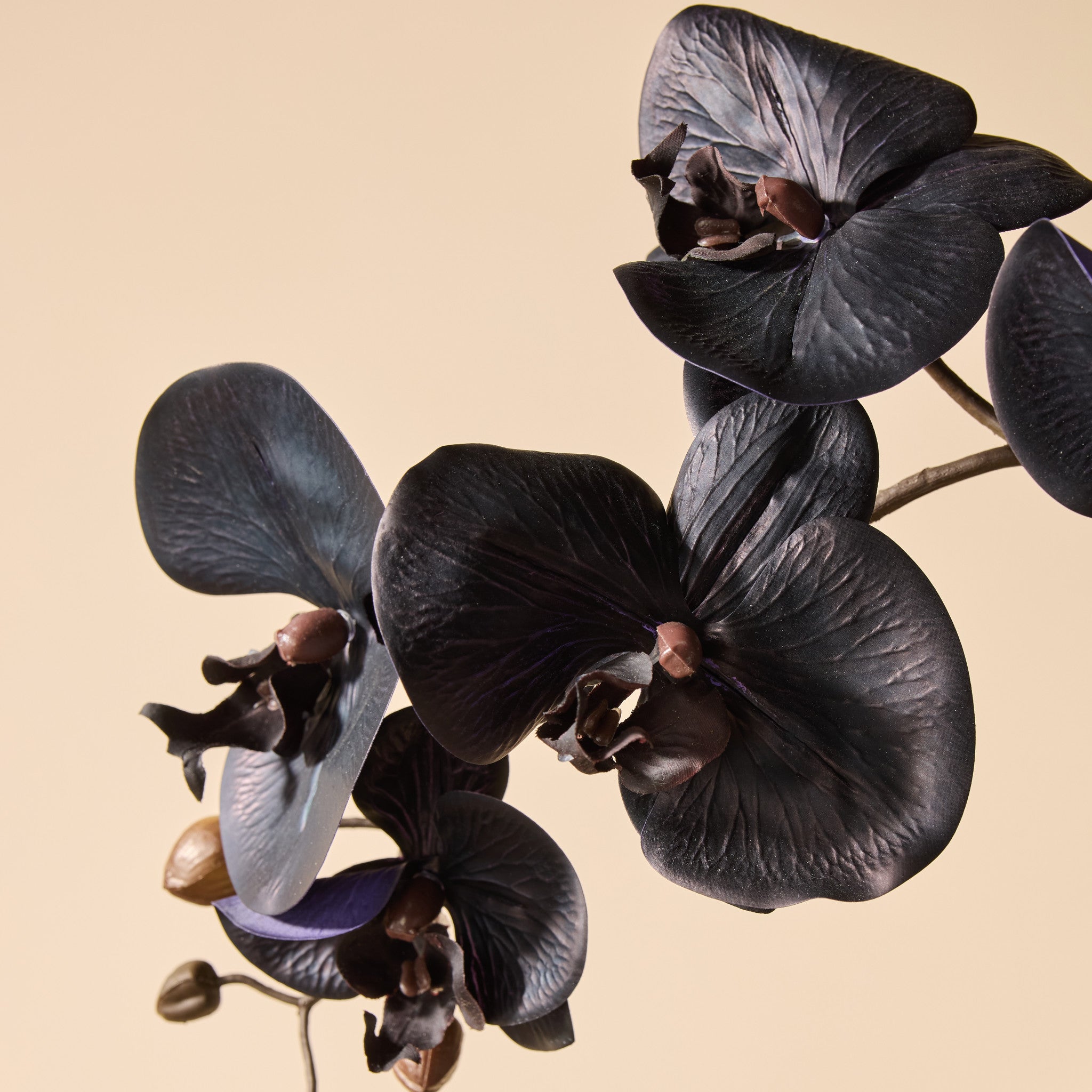 Faux Phalaenopsis Orchid Arrangement - Garden Pot | Black - 105cm
