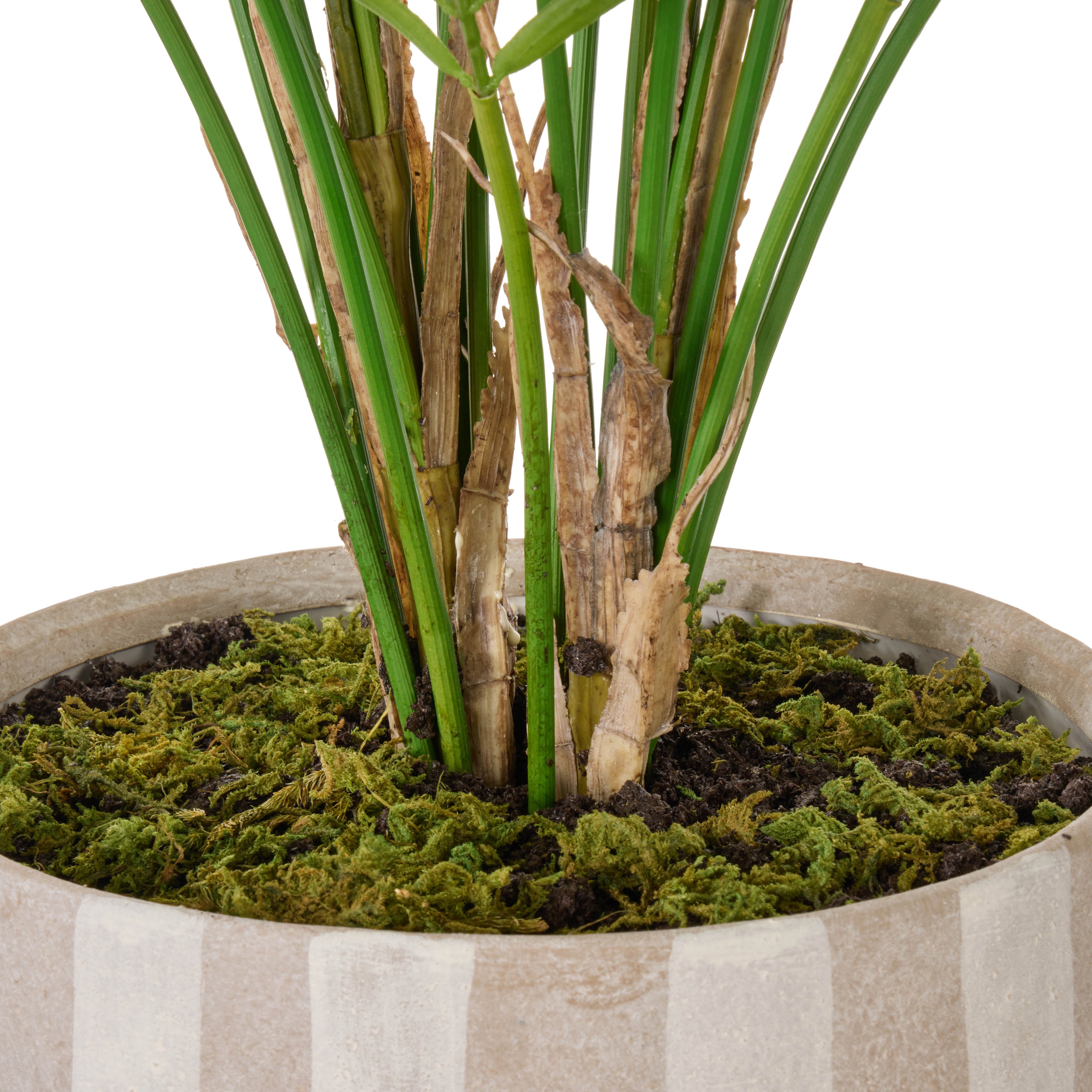 Faux Palm Tree - Antibes Pot | Green - 84cm