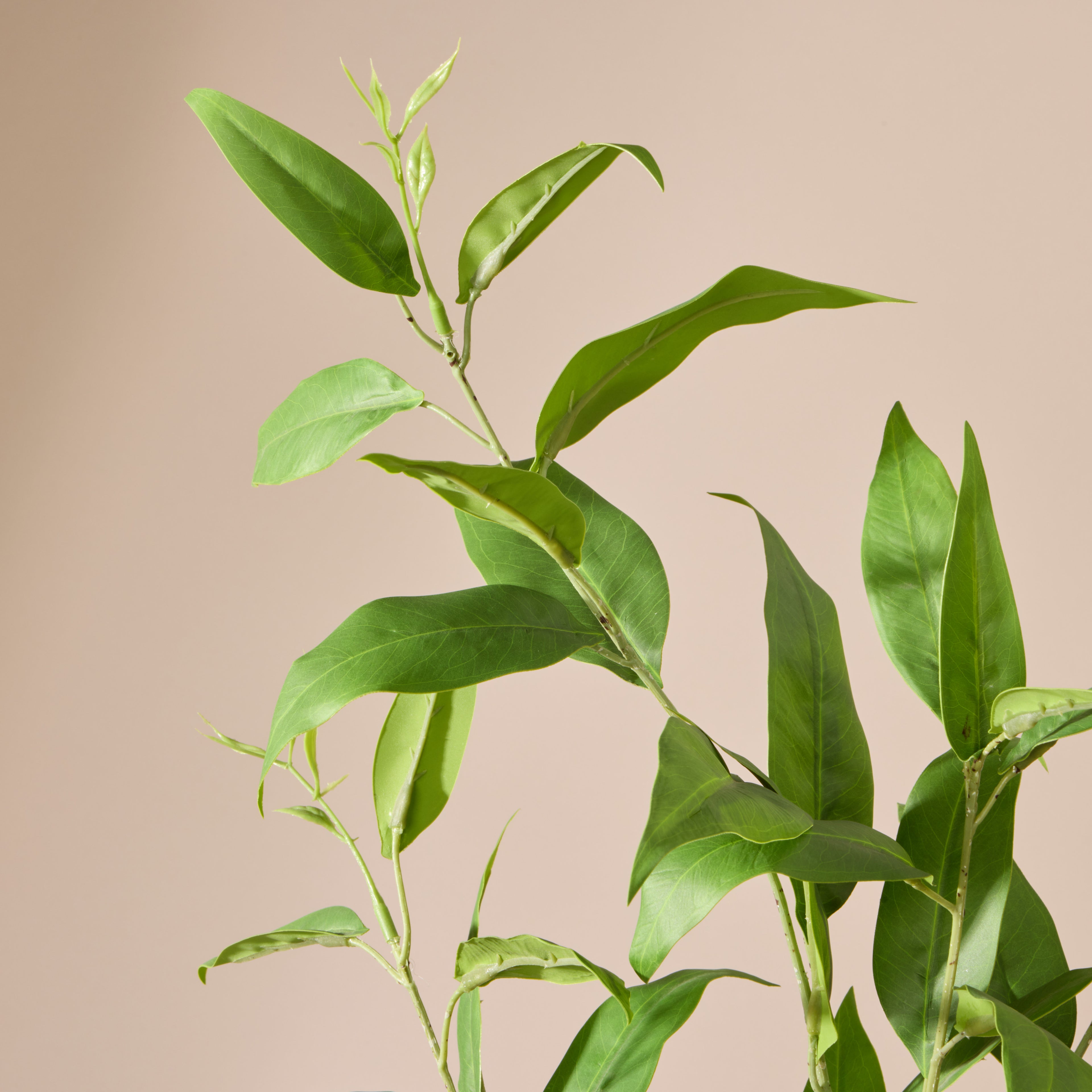 Faux Eucalyptus Spray | Green - 105cm