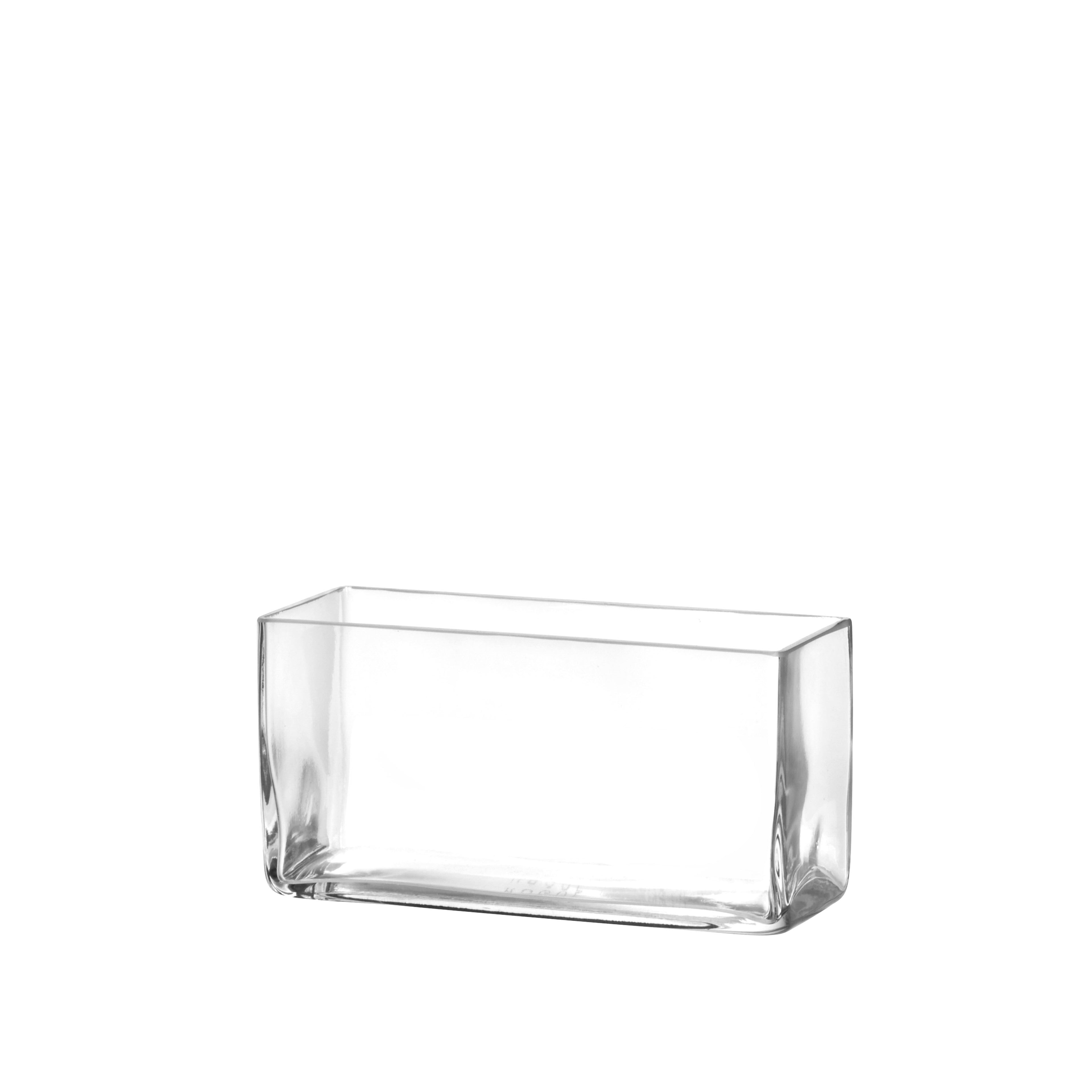 Esme Trough Vase | Clear - 10cm