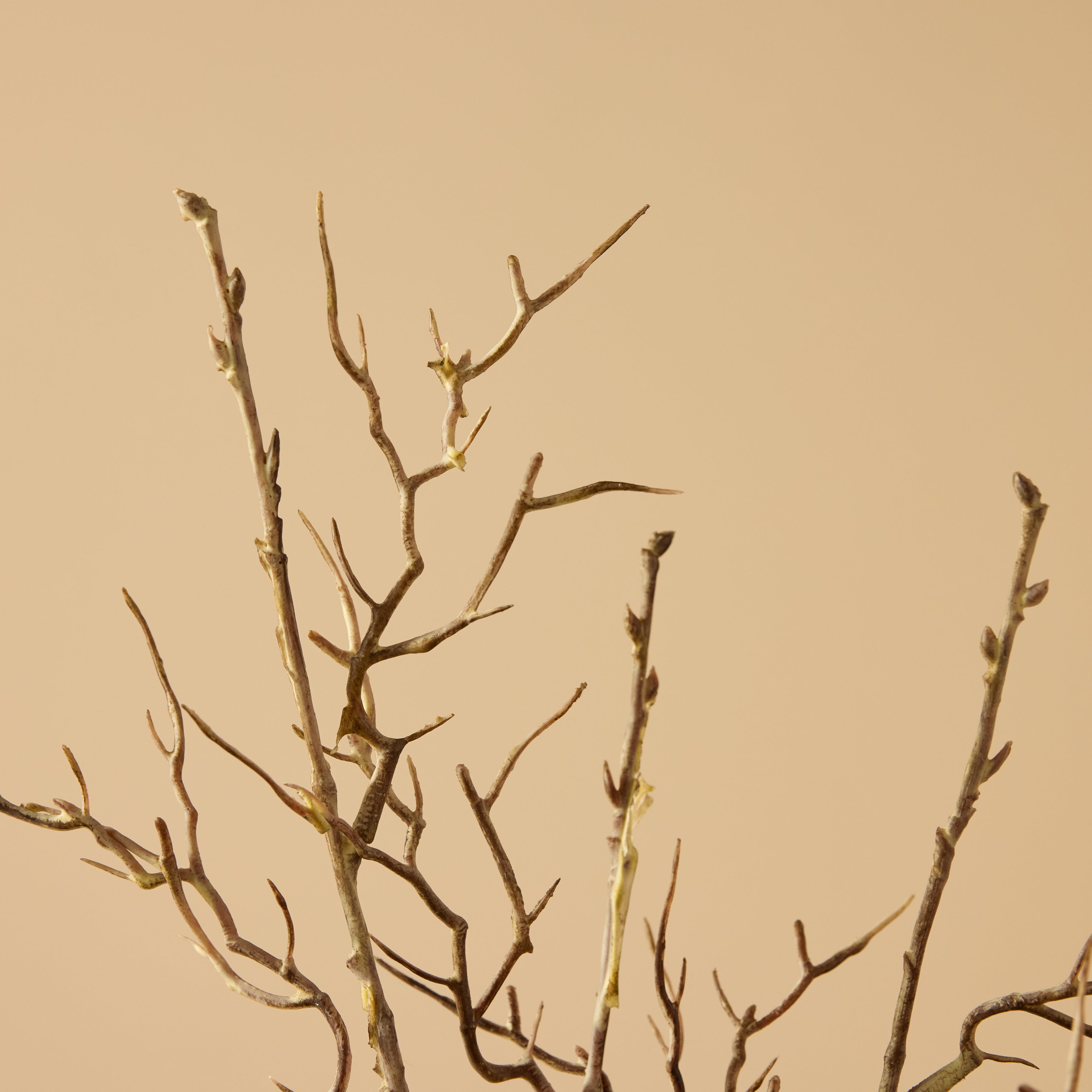 Faux Allium Spray Arrangement - Maliah Pot Cream | Green - 65cm