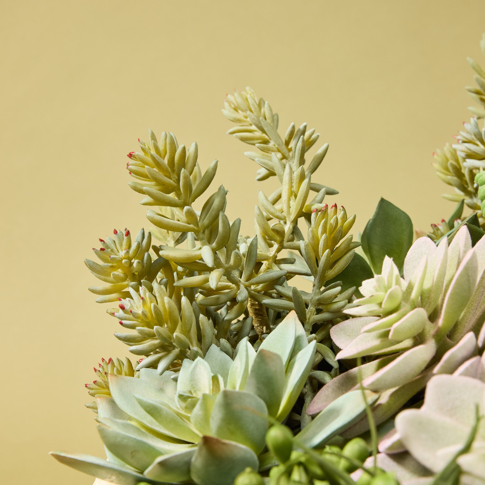 Faux Succulent Garden - Textured Cement Pot | 30cm