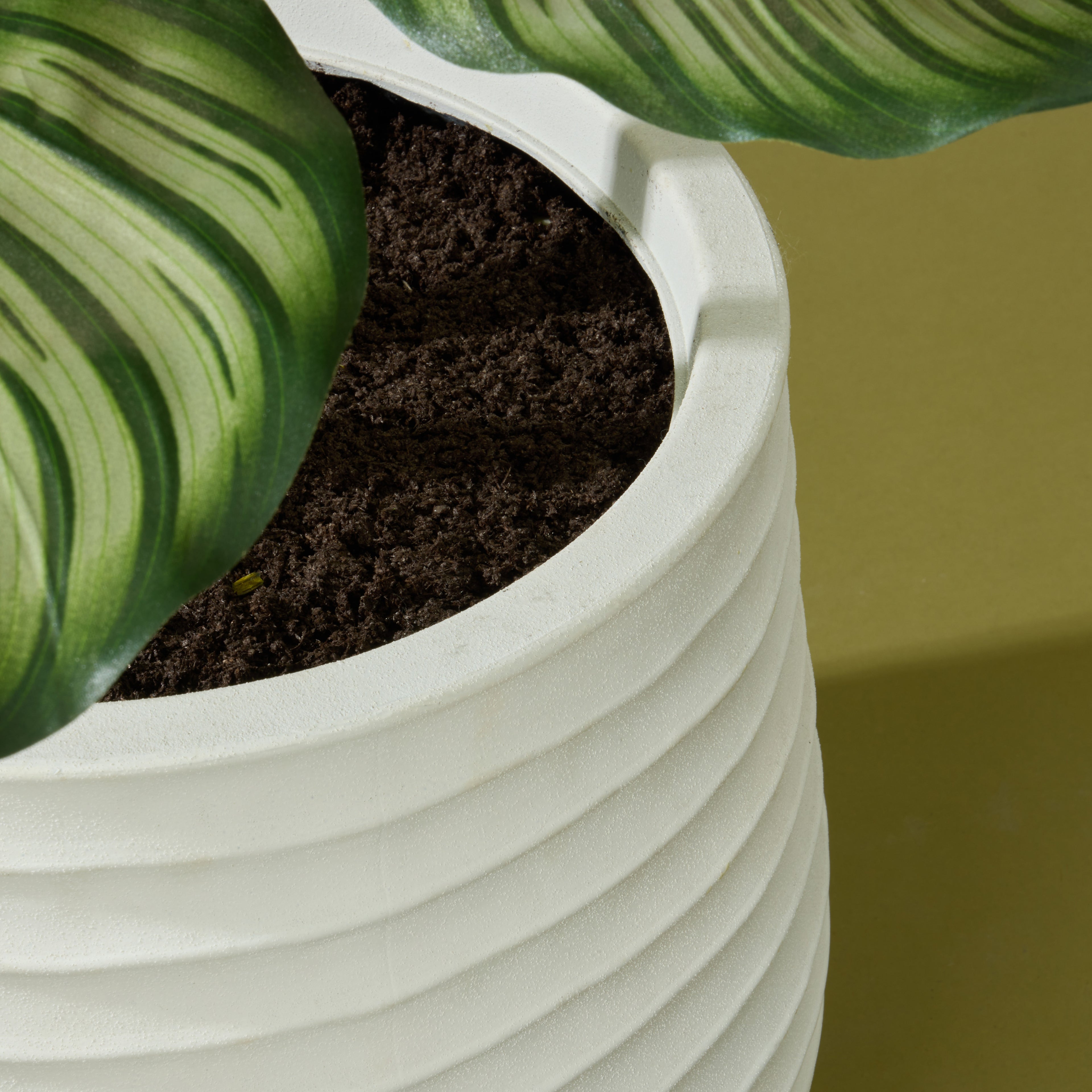 Faux Calathea Plant - Ryker Stonelite Planter | White - 177cm