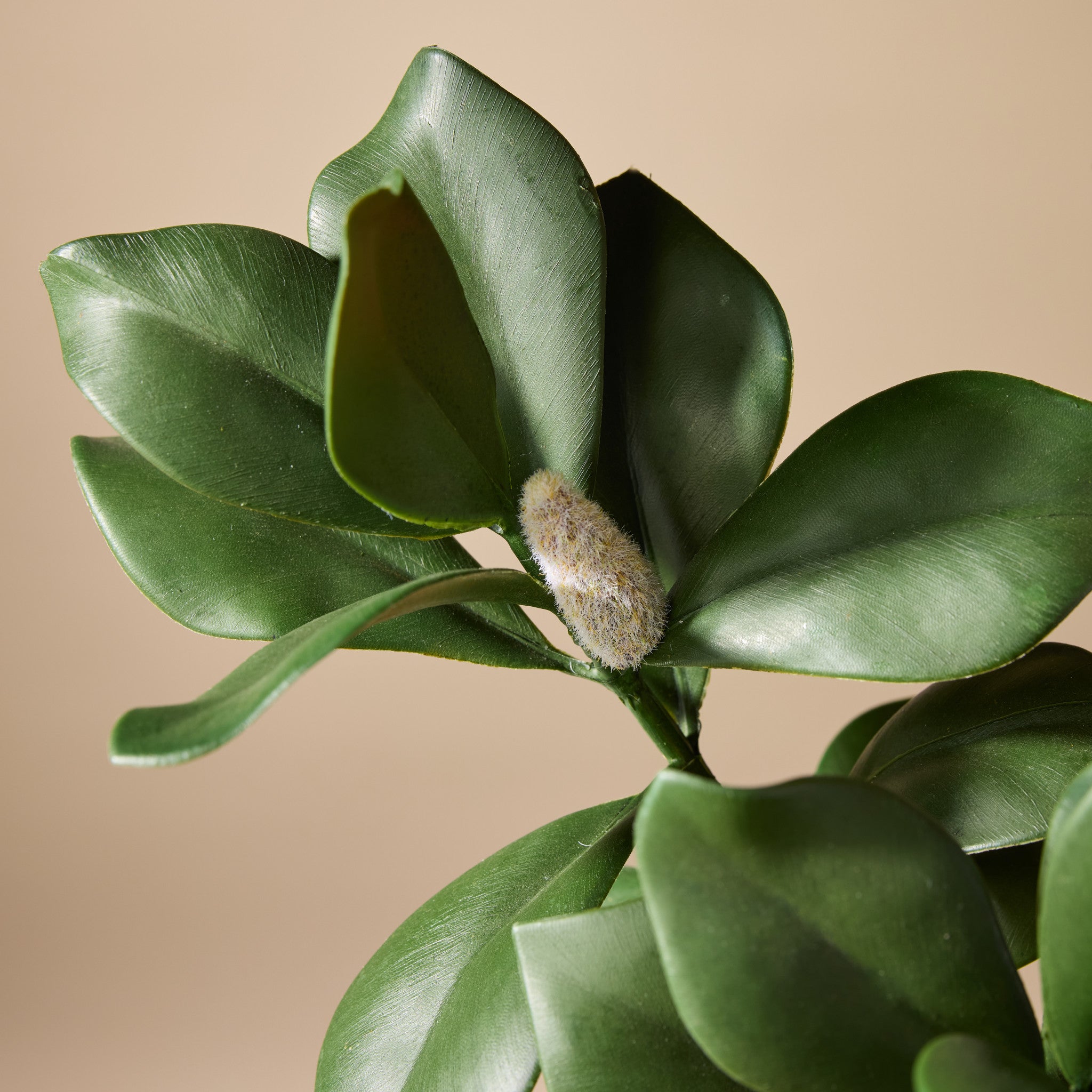 Faux Magnolia Leaf Spray | 58cm