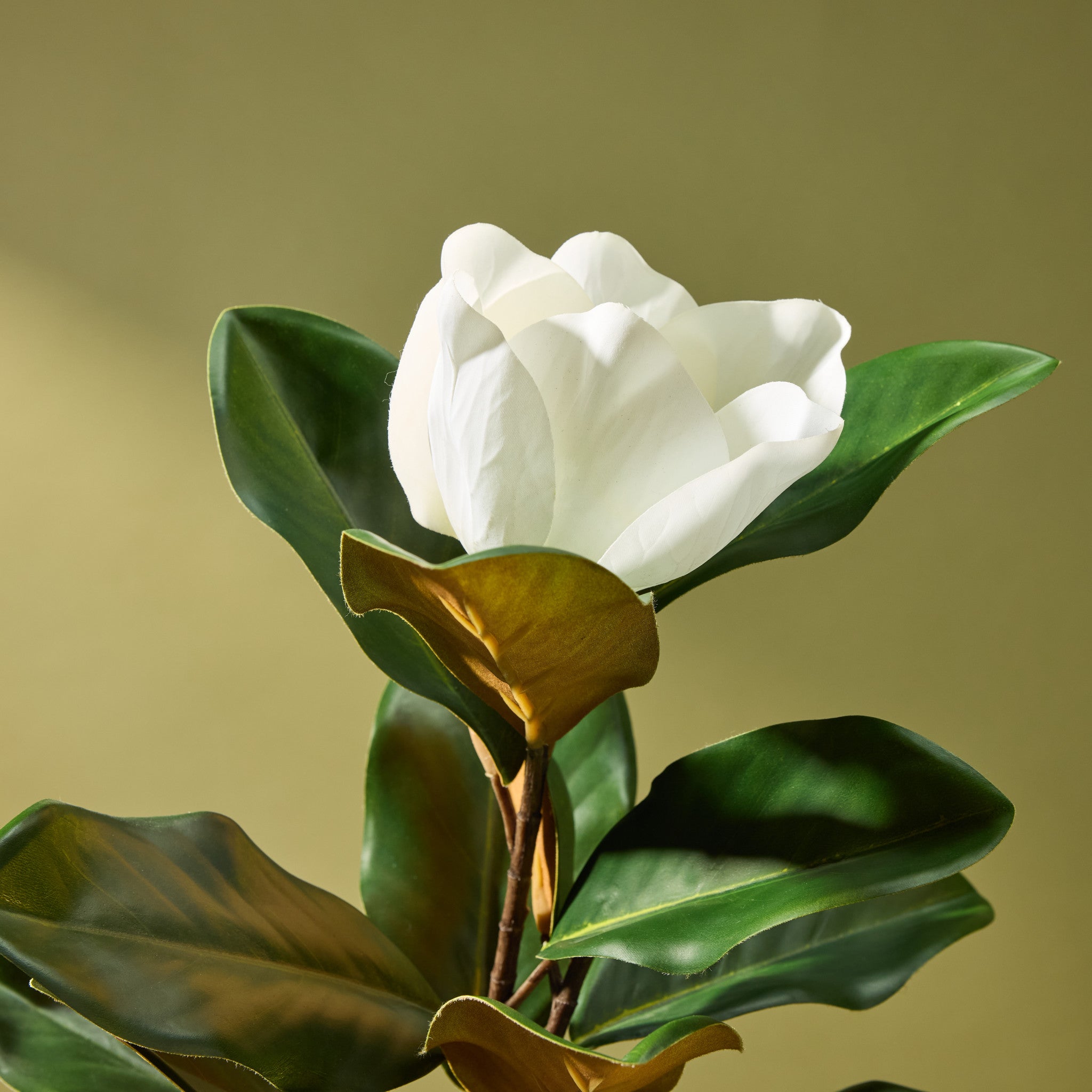 Faux Magnolia Tree | 115cm