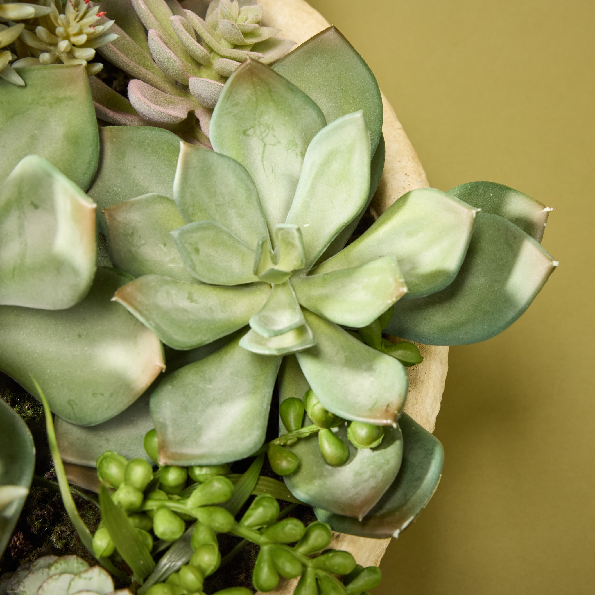 Faux Succulent Garden - Textured Cement Pot | 30cm