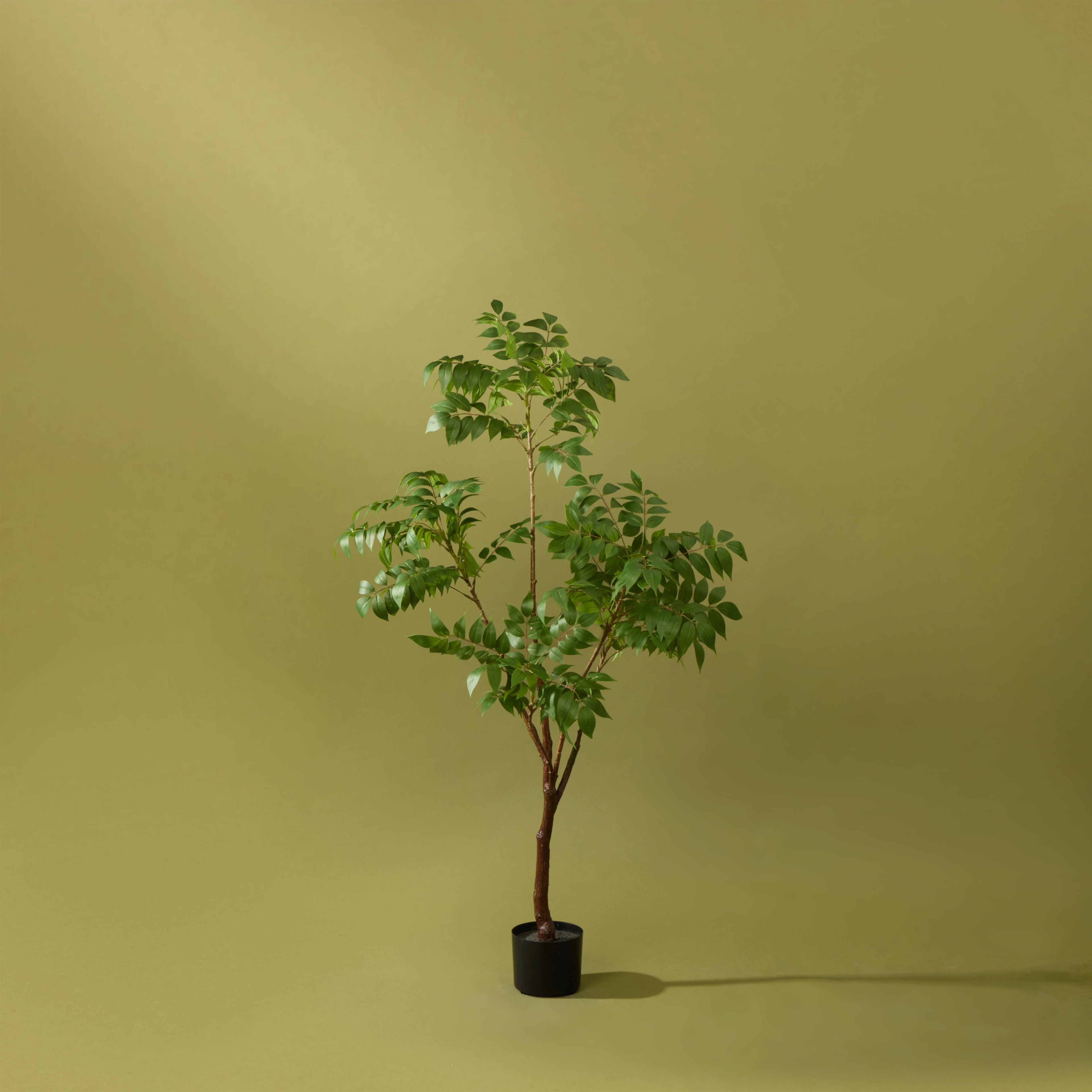 Faux Wisteria Tree - Garden Pot | 150cm