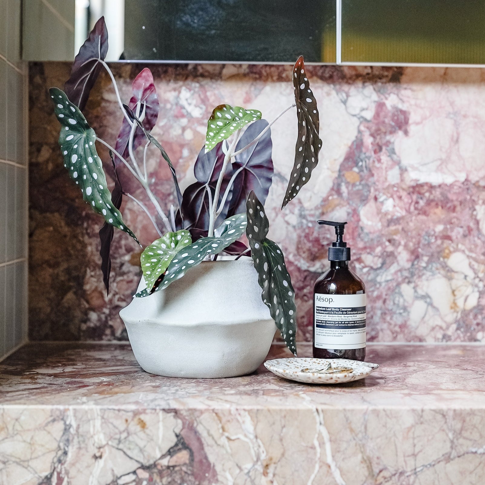 Maliah Pot Wide | Cream - 15cm