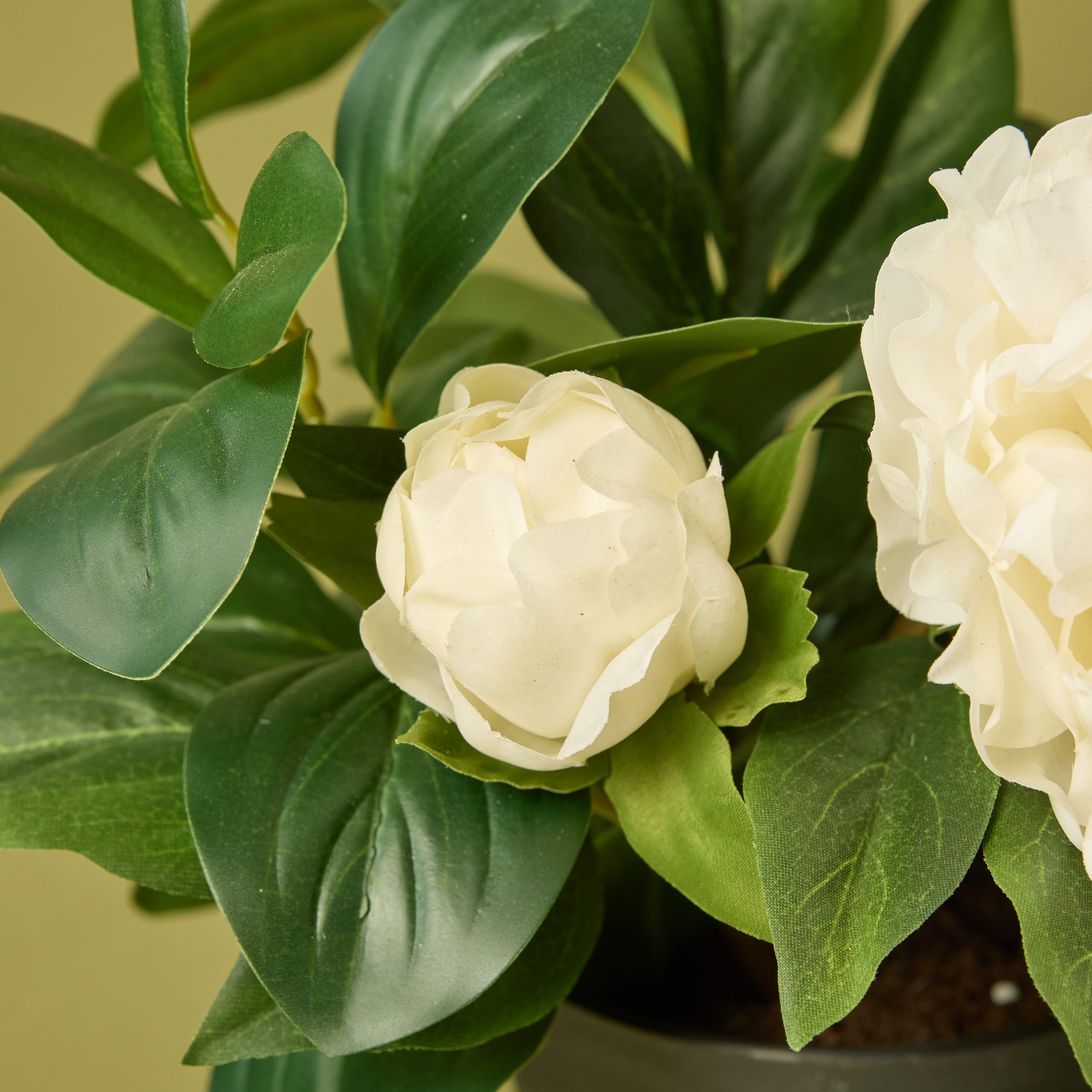 Faux Peony Lush Leaf - Garden Pot | White - 38cm