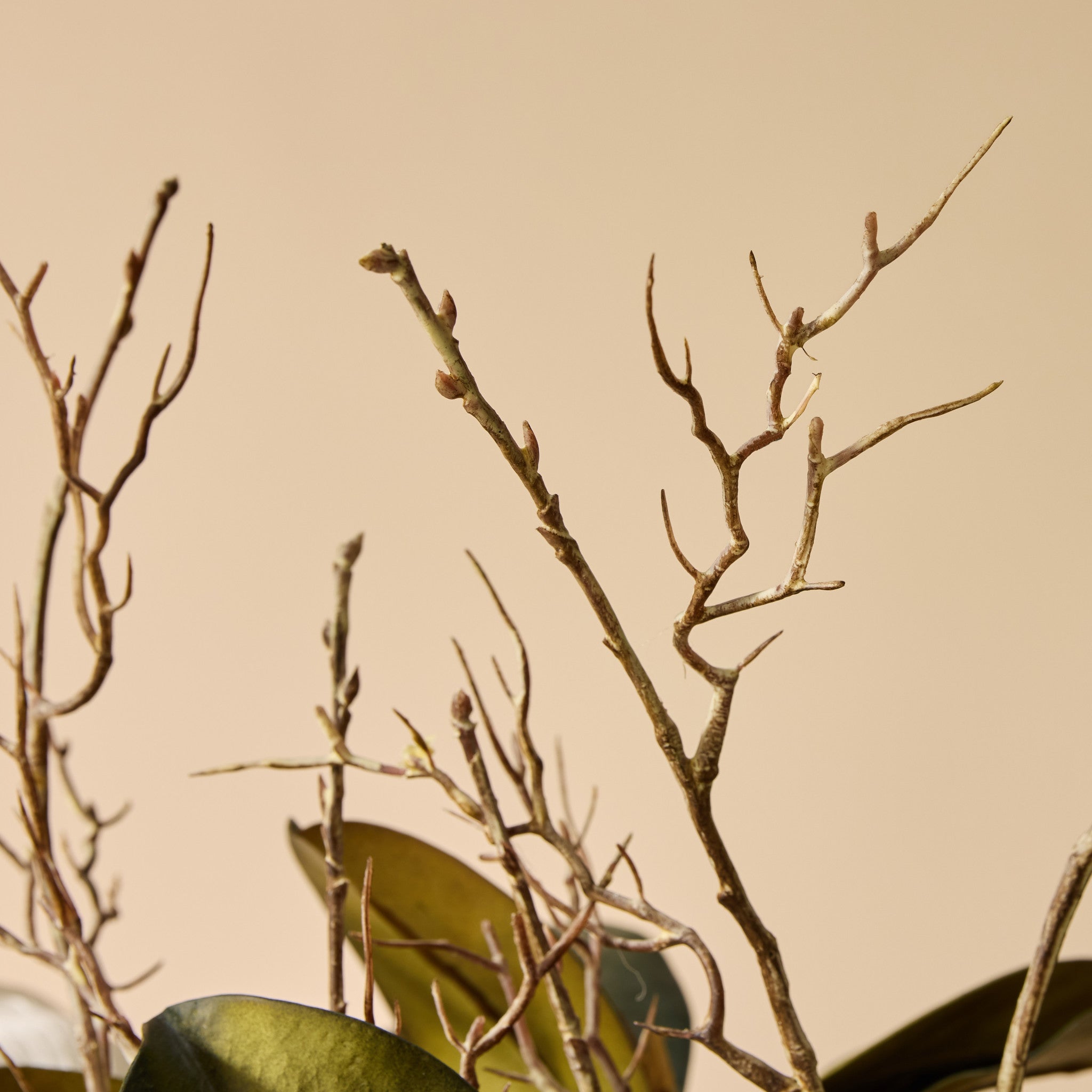 Faux Magnolia Grandiflora Arrangement - Alana Vase