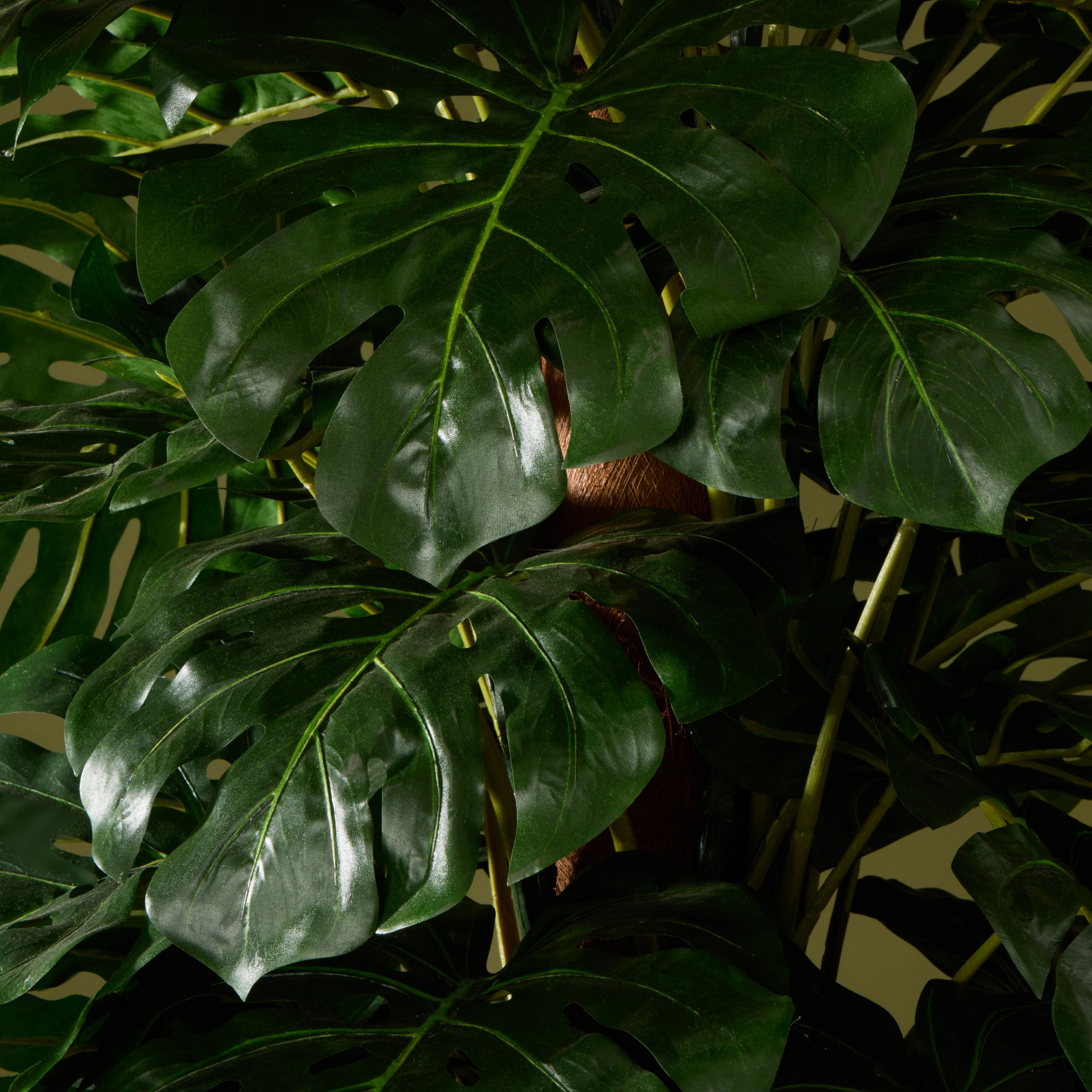 Faux Monstera UV Treated - Garden Pot | 180cm