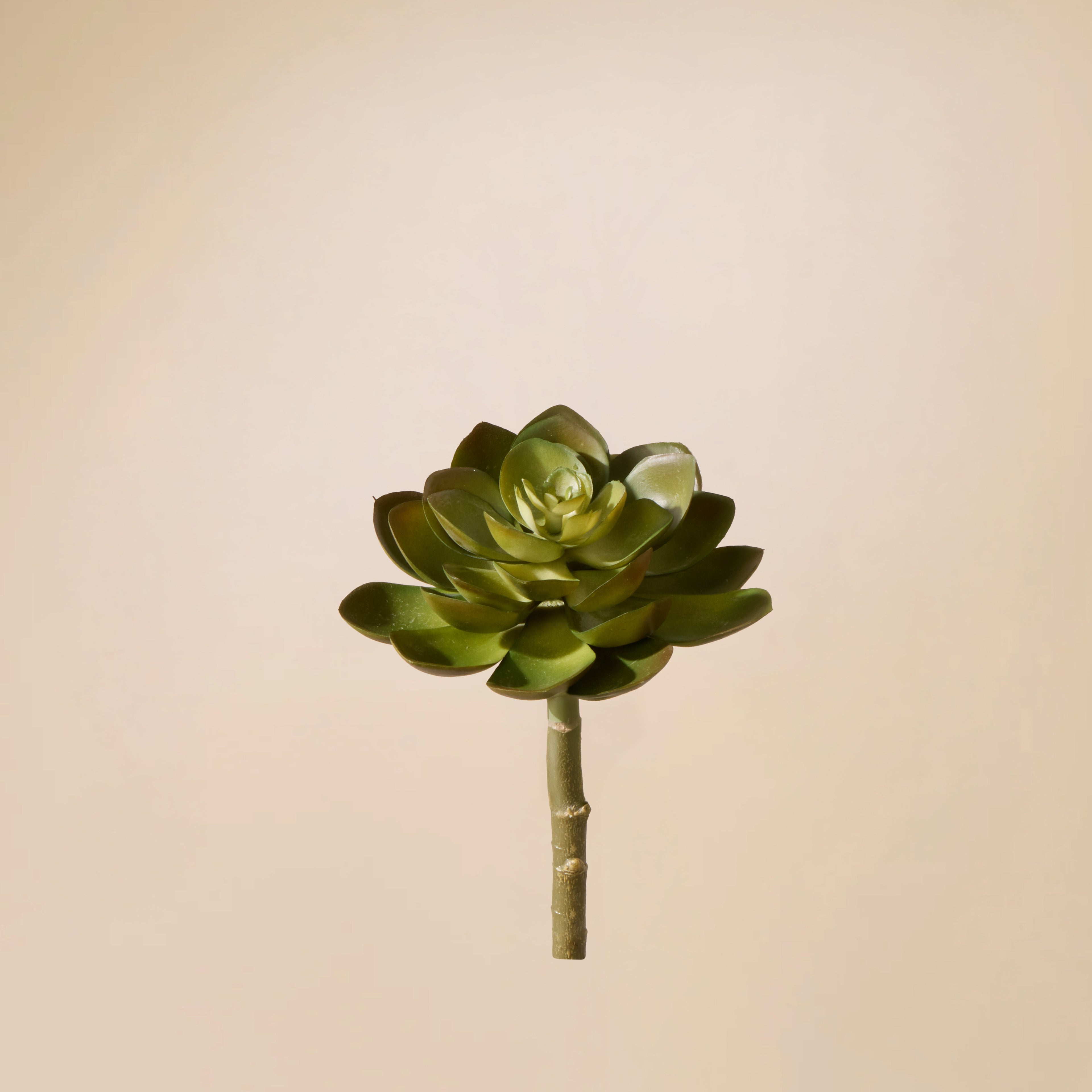 Faux Echeveria Succulent | Green - 13cm