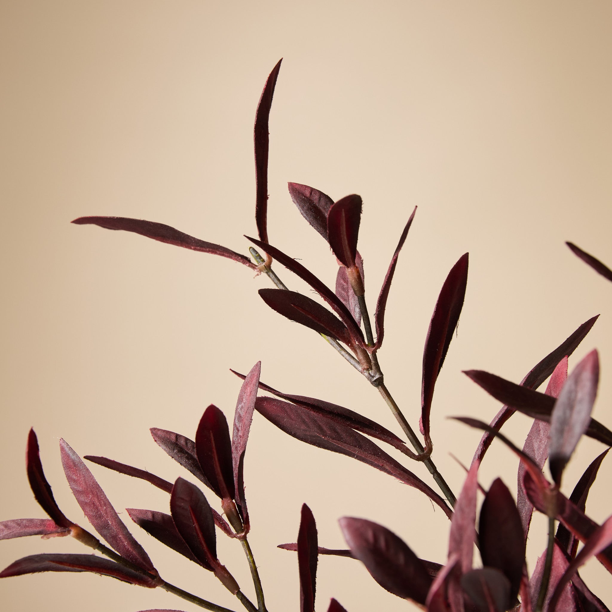 Faux Olive Leaf Spray | Burgundy - 81cm