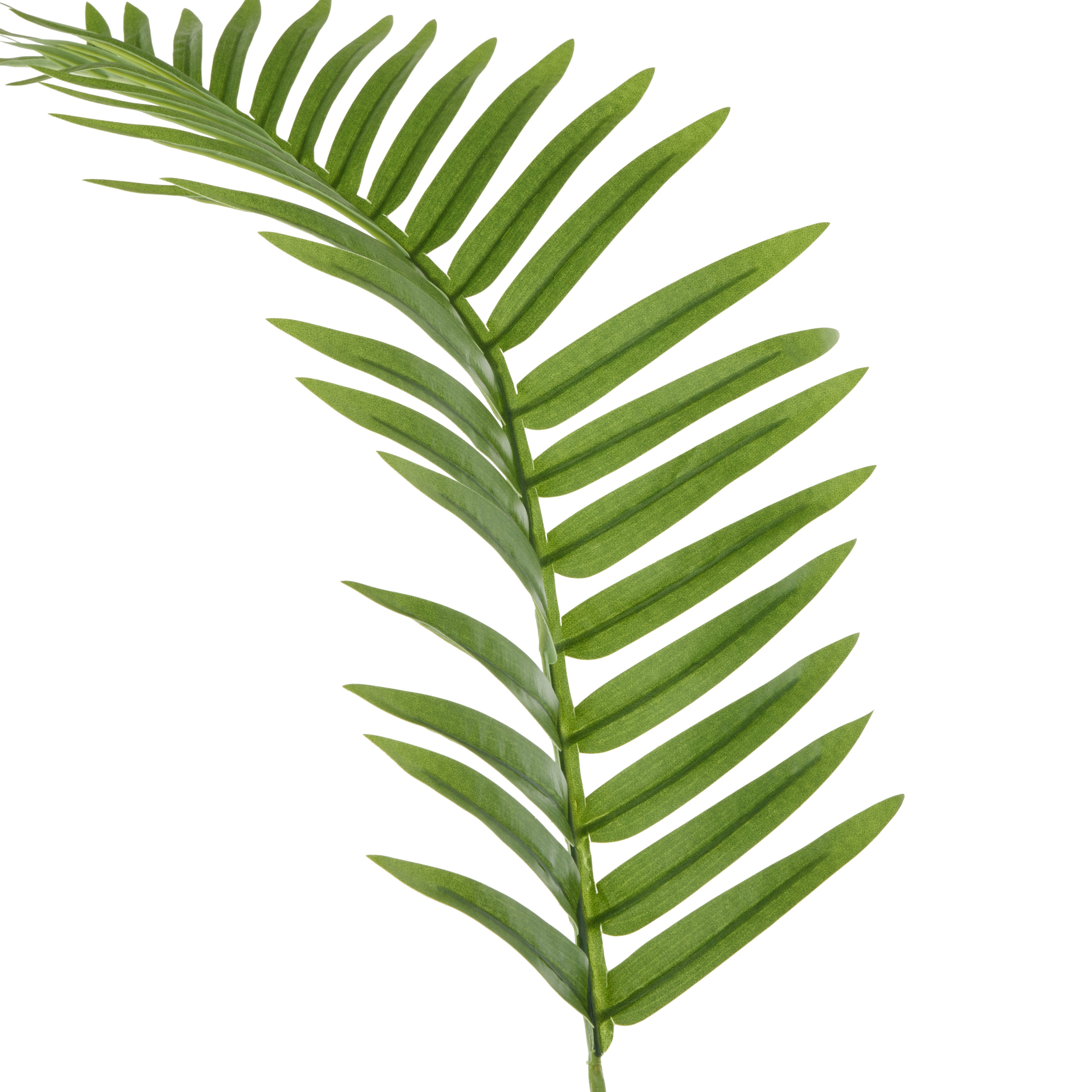 Faux Fan Palm Leaf | Green - 100cm