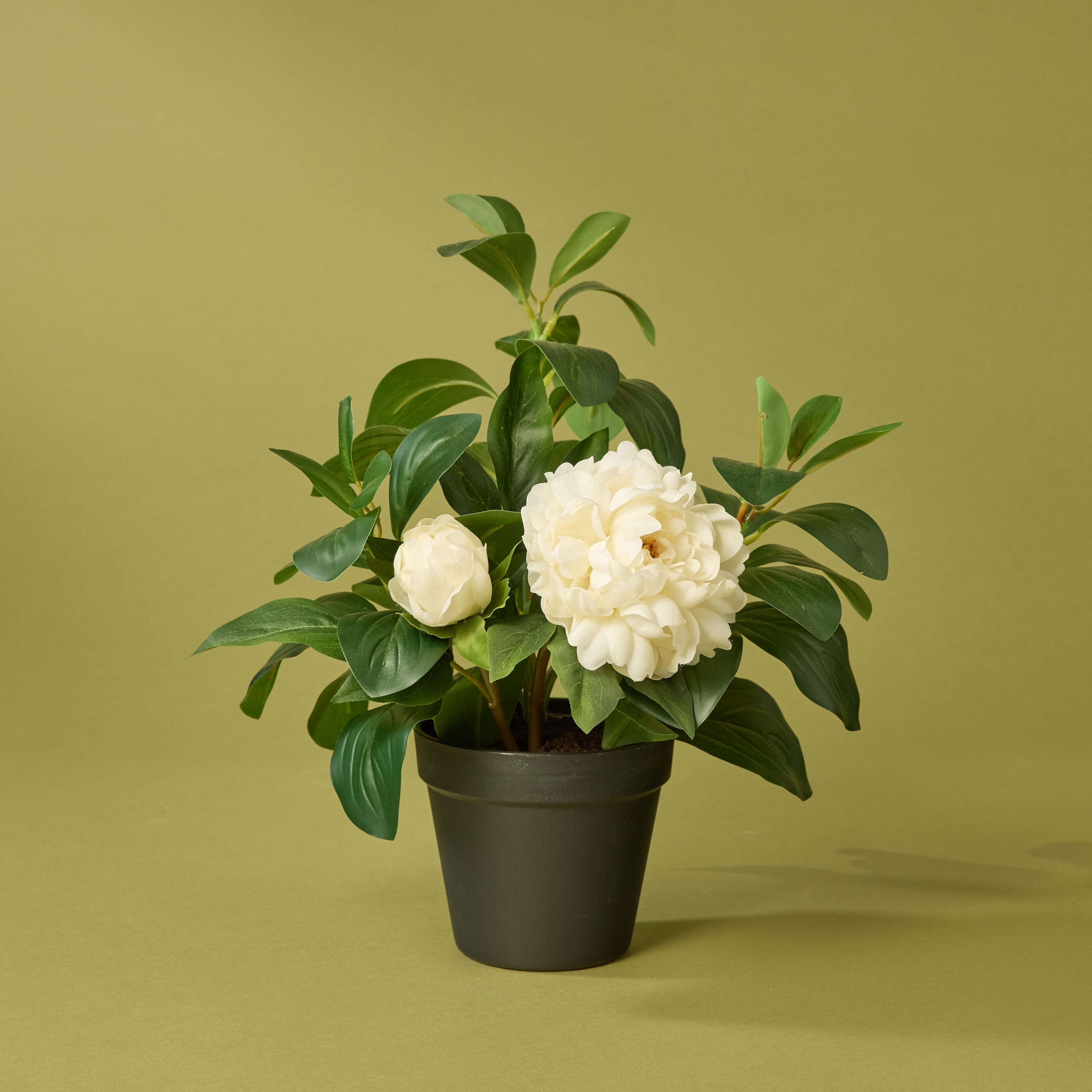 Faux Peony Lush Leaf - Garden Pot | White - 38cm