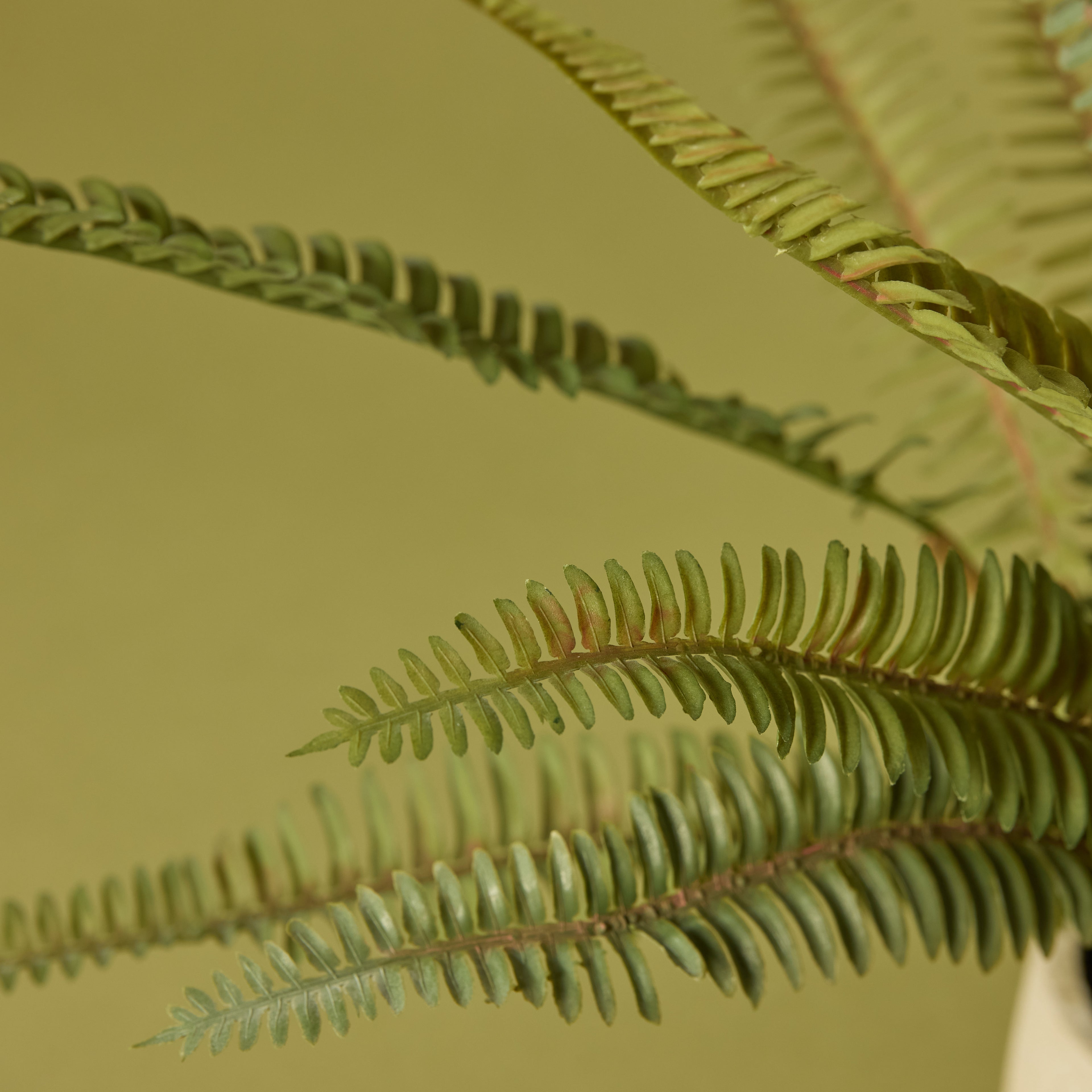 Faux Boston Fern - White Pot | 46cm