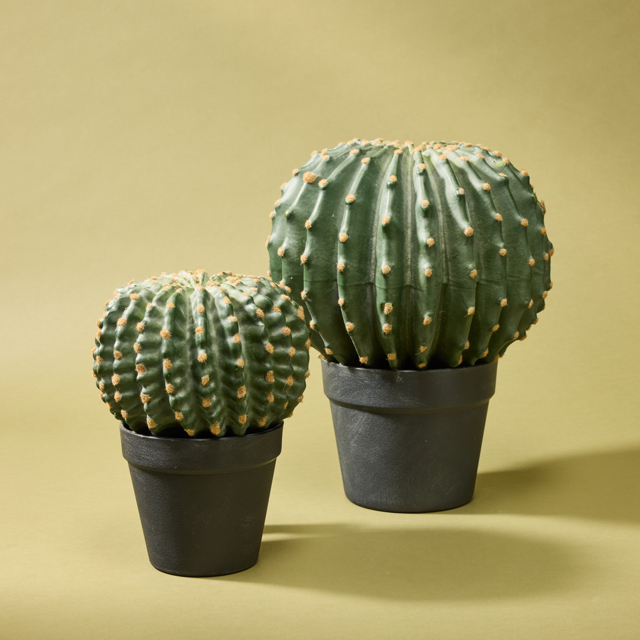 Faux Barrel Cactus | 22cm