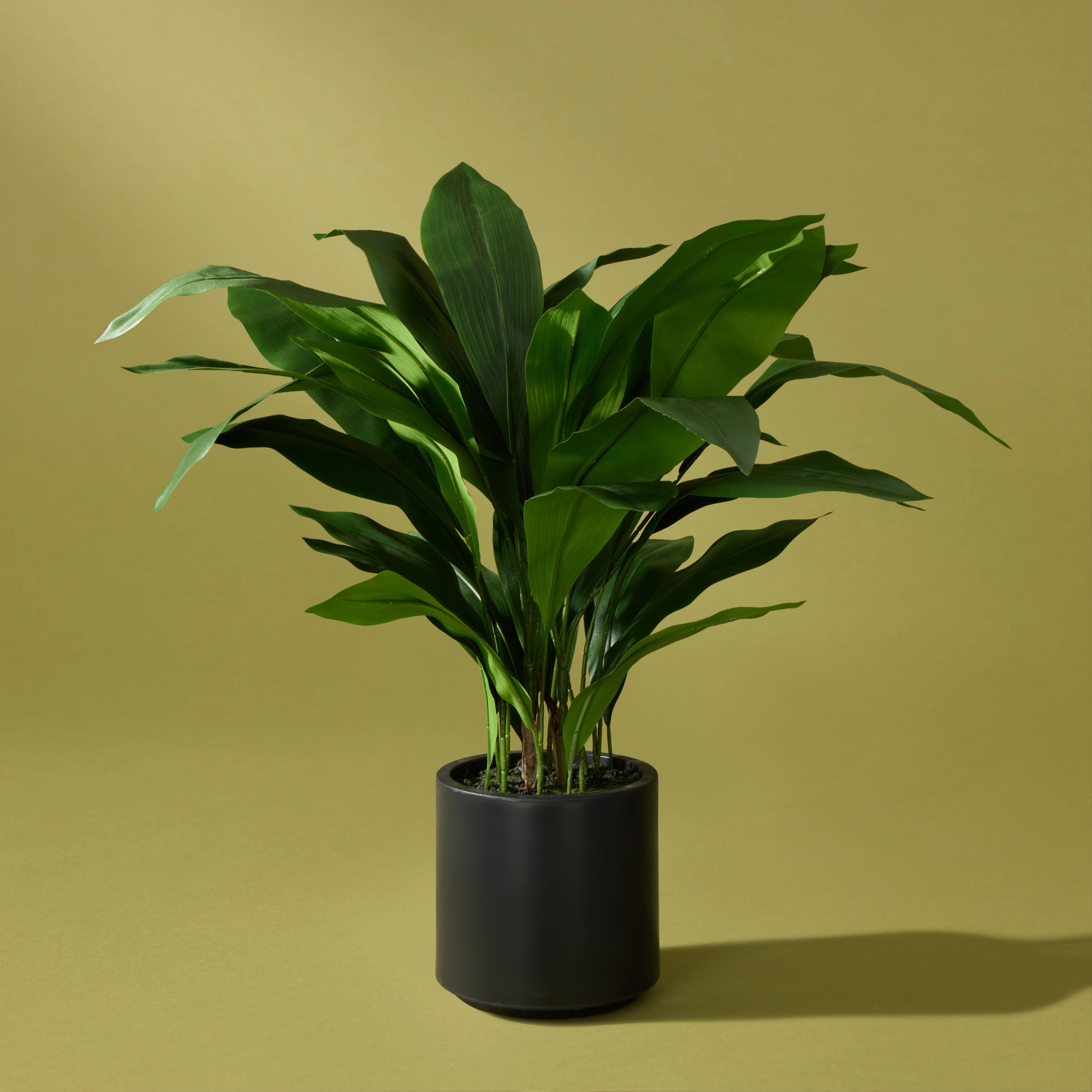 Faux Cast Iron Plant UV Treated  | 90cm