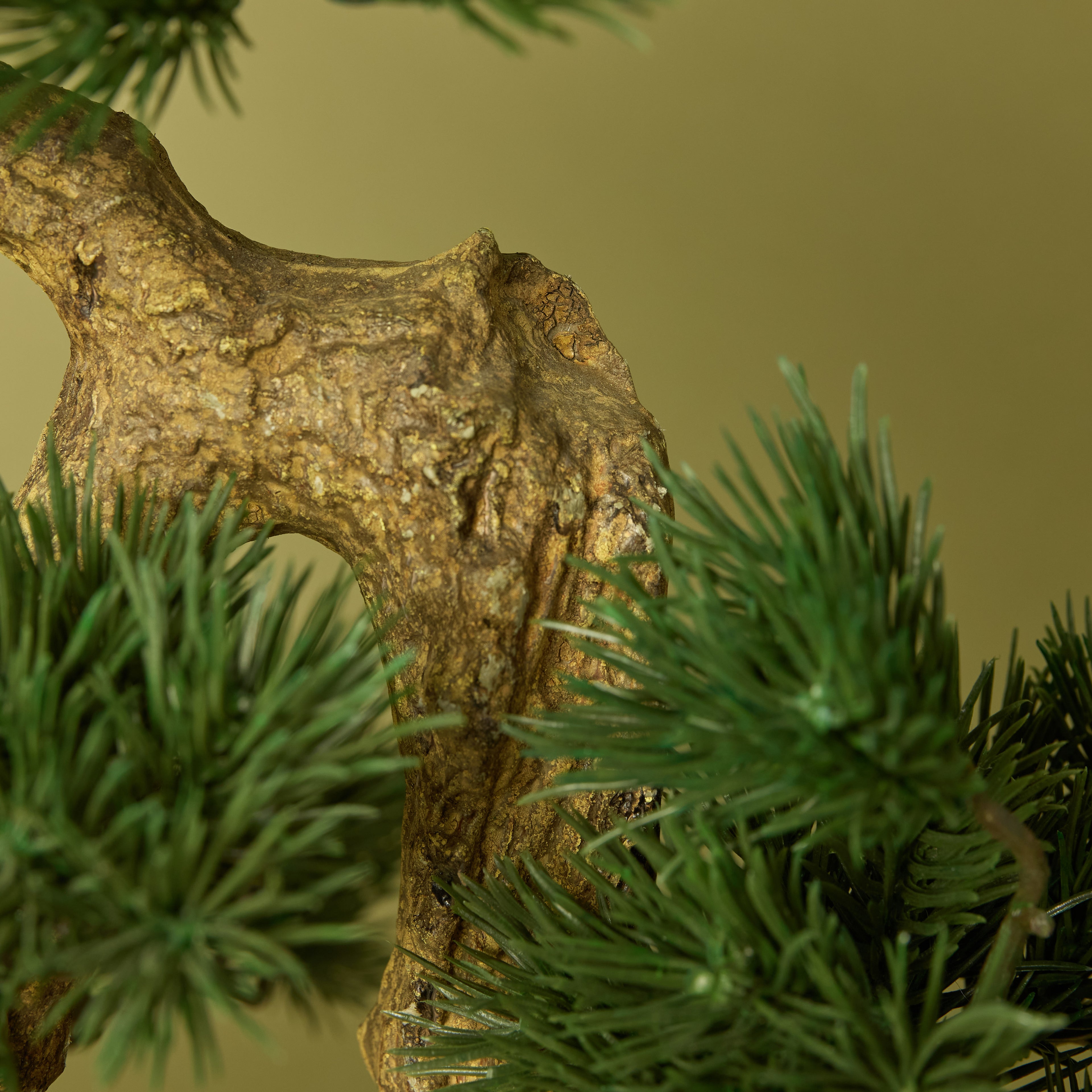 Faux Pine Bonsai - Textured Cement Pot | Cream - 57cm