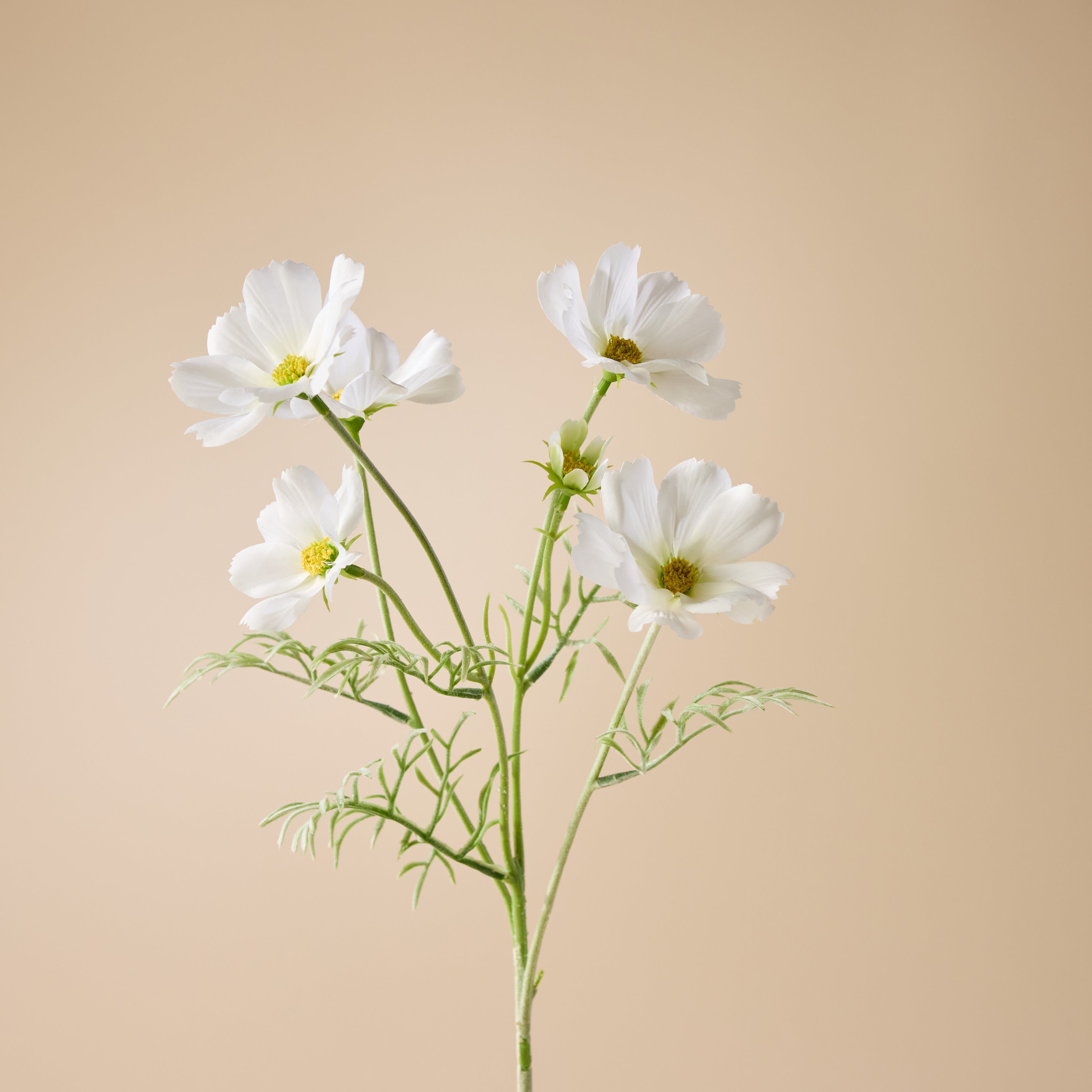 Faux Cosmos Flower Spray | White - 62cm