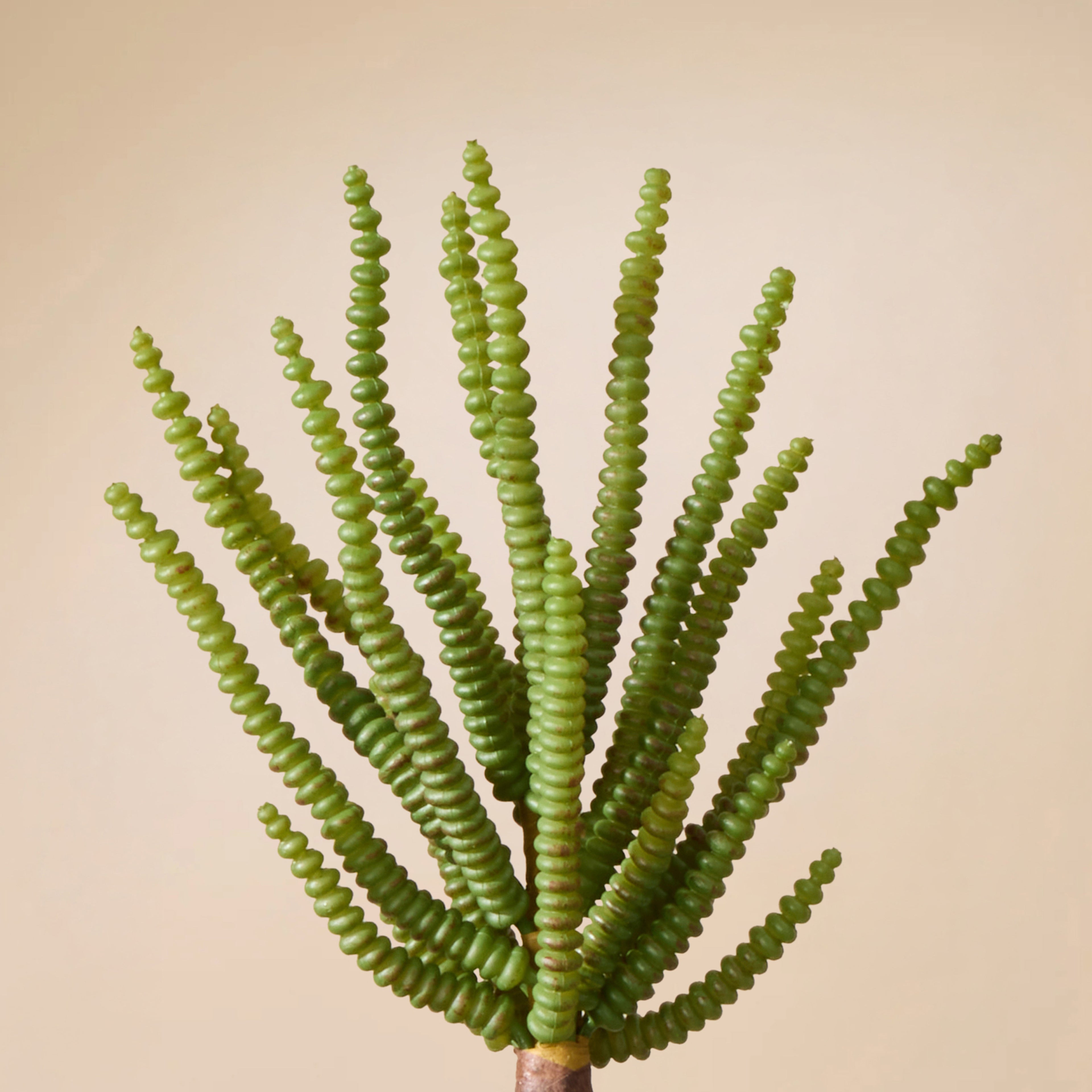 Faux Watch Chain Spray | Green - 5cm