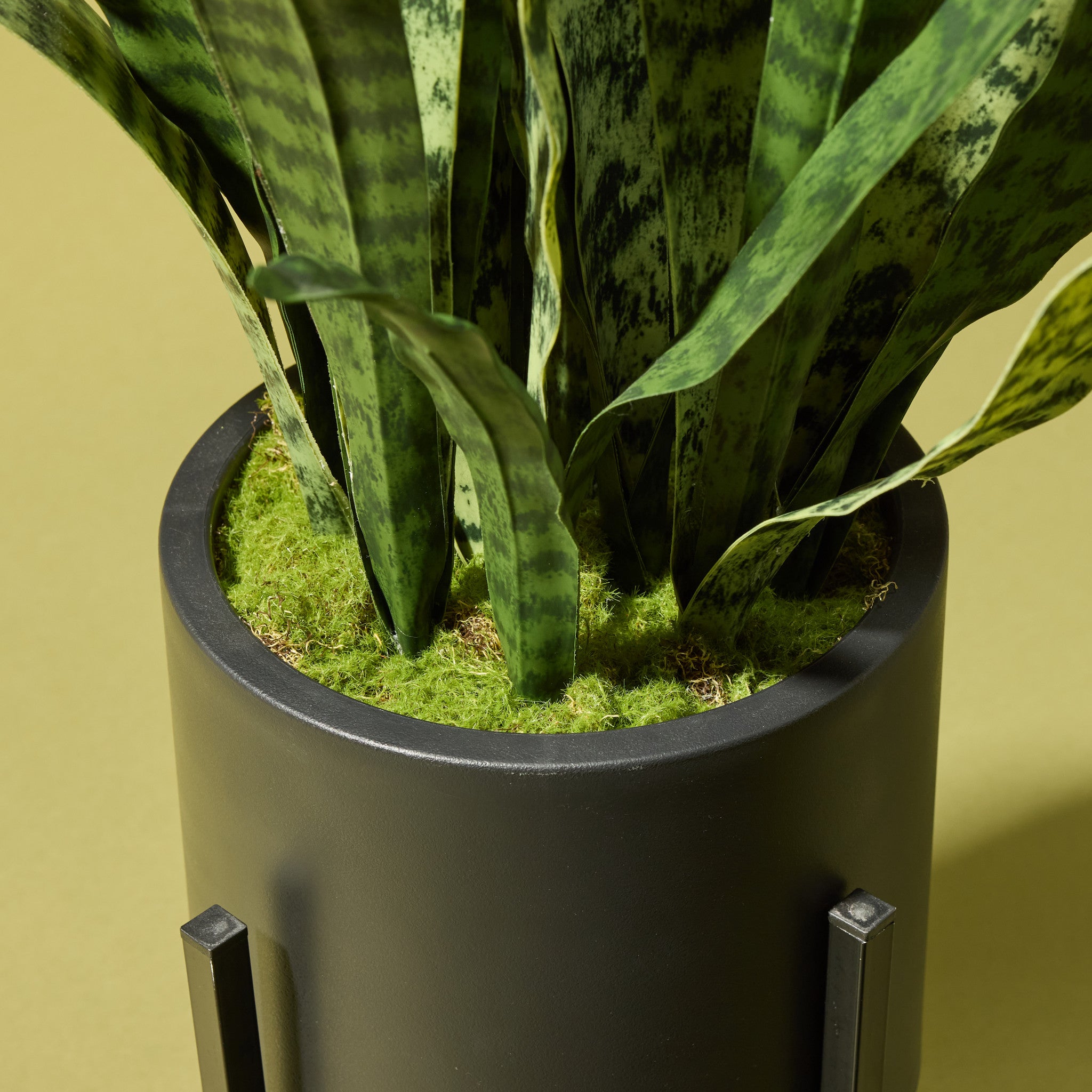 Faux Sanseveria - Standing Planter | 85cm