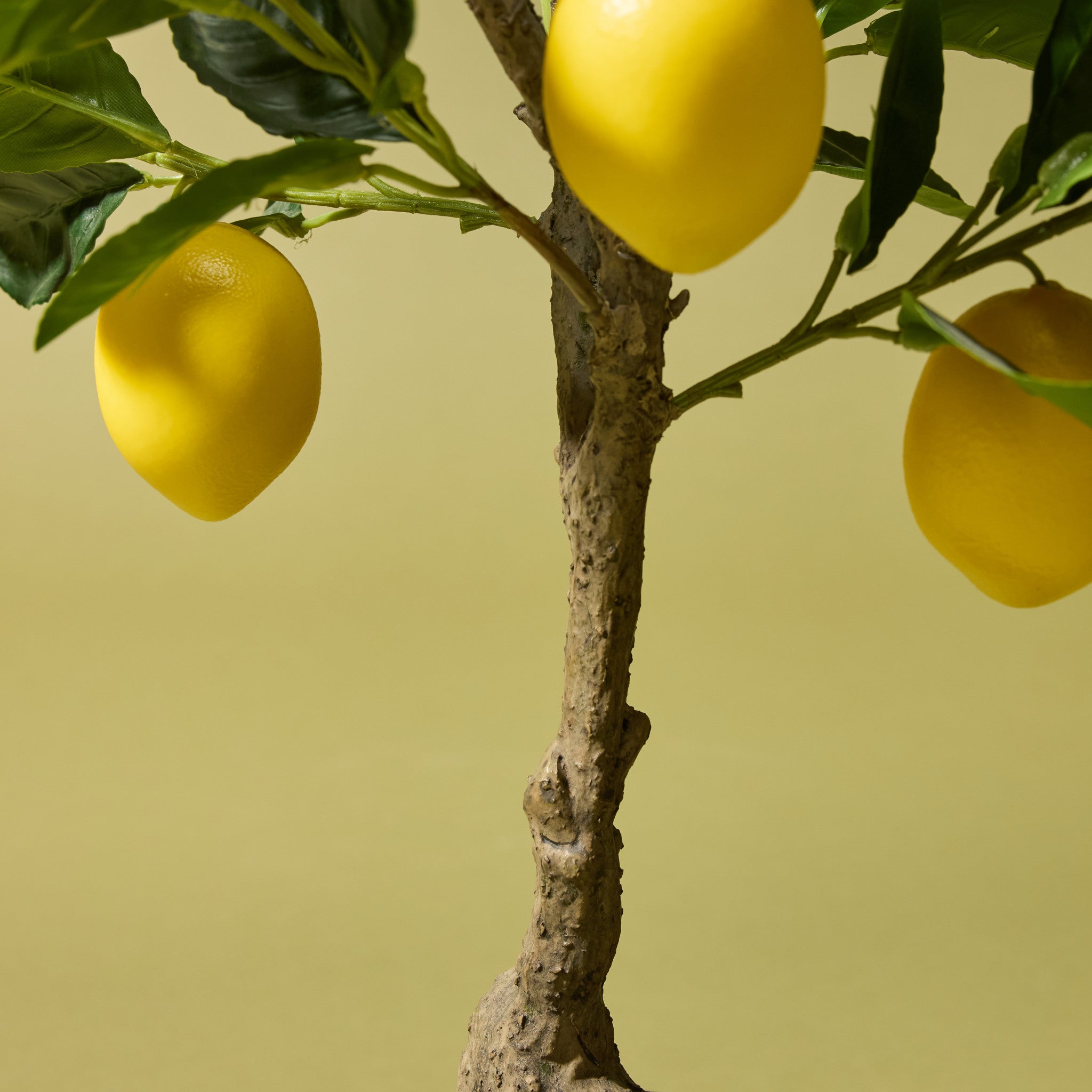 Faux Lemon Tree | 60cm