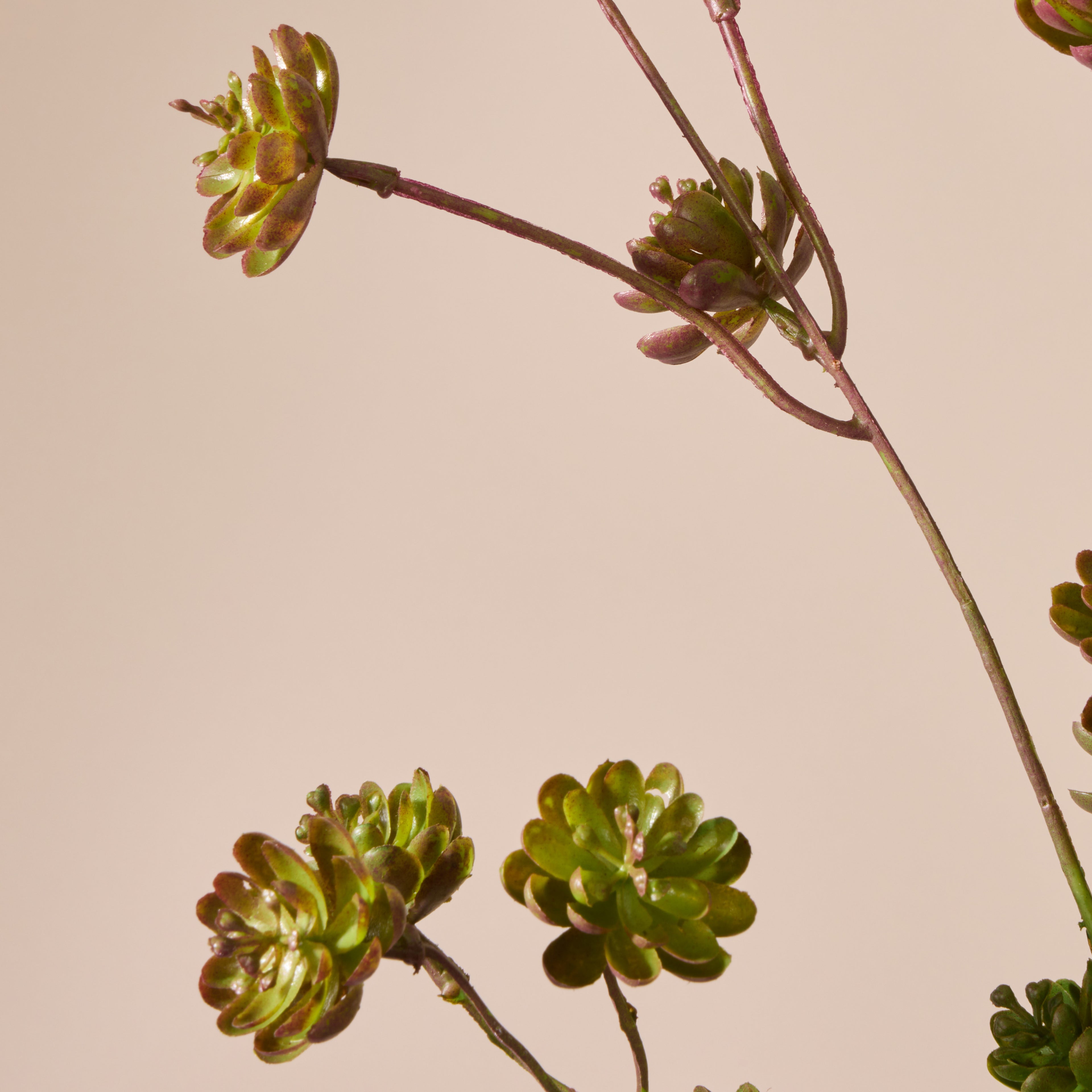 Faux Succulent Spray | Burgundy - 97cm