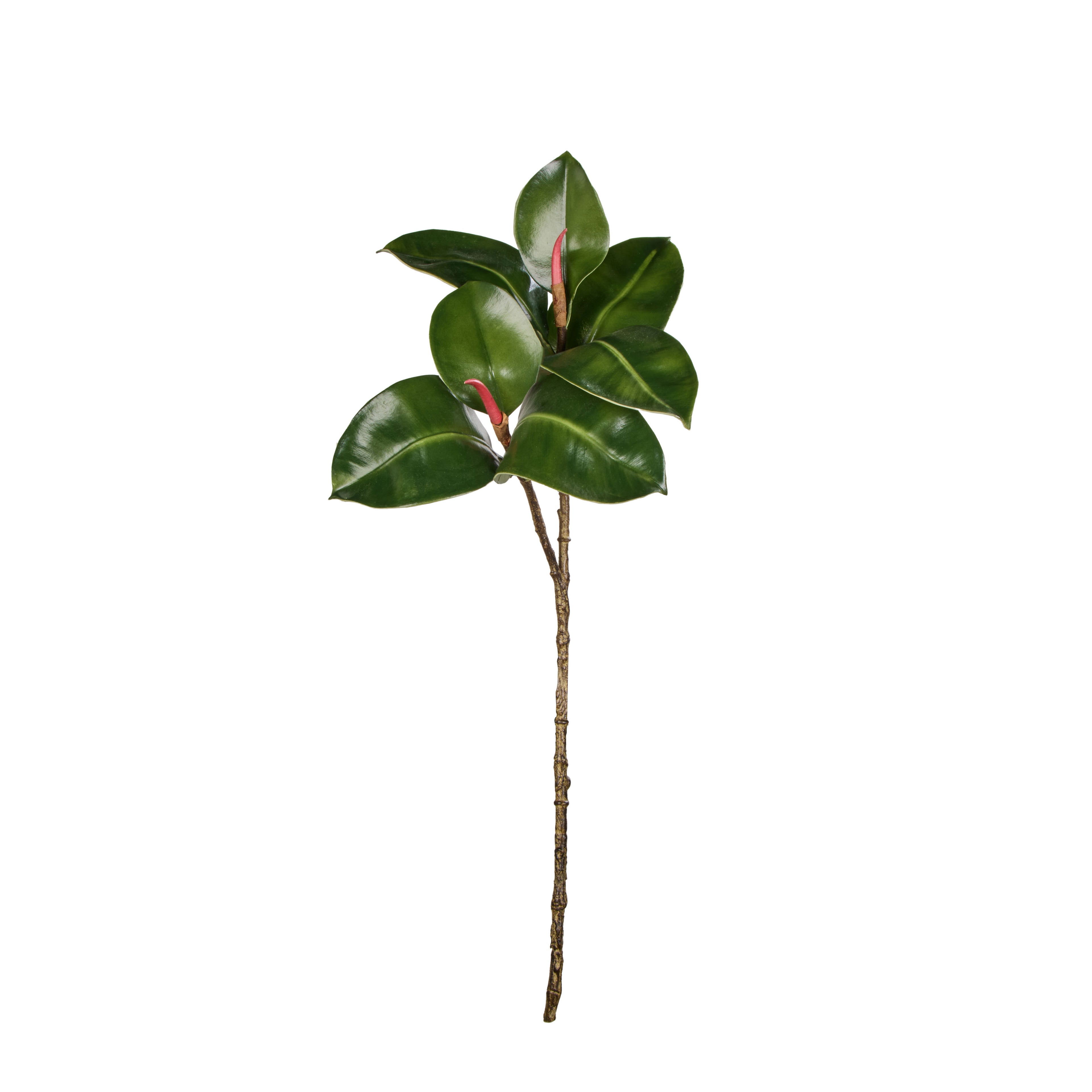 Faux Rubber Tree Spray | Green - 70cm