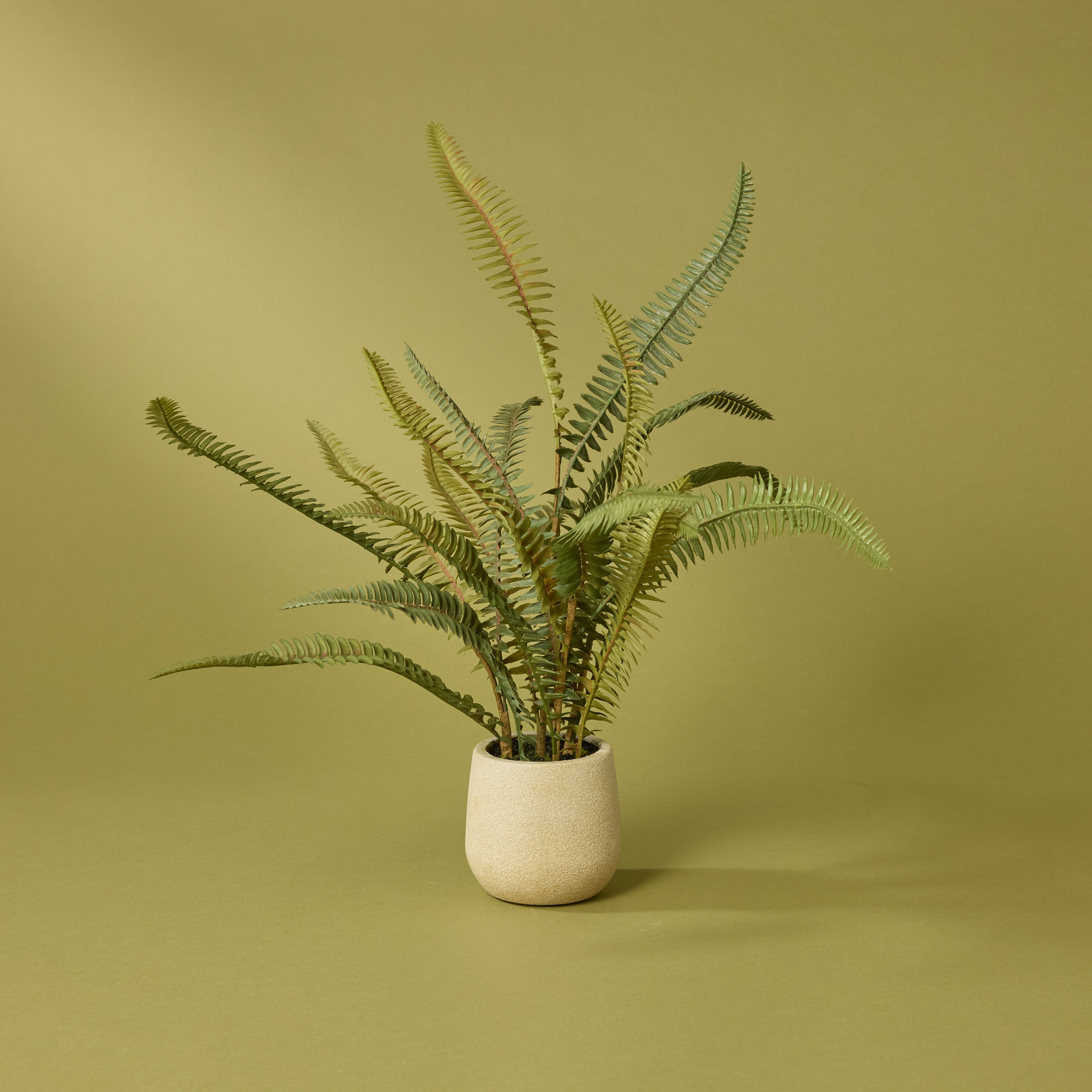 Faux Boston Fern - White Pot | 46cm