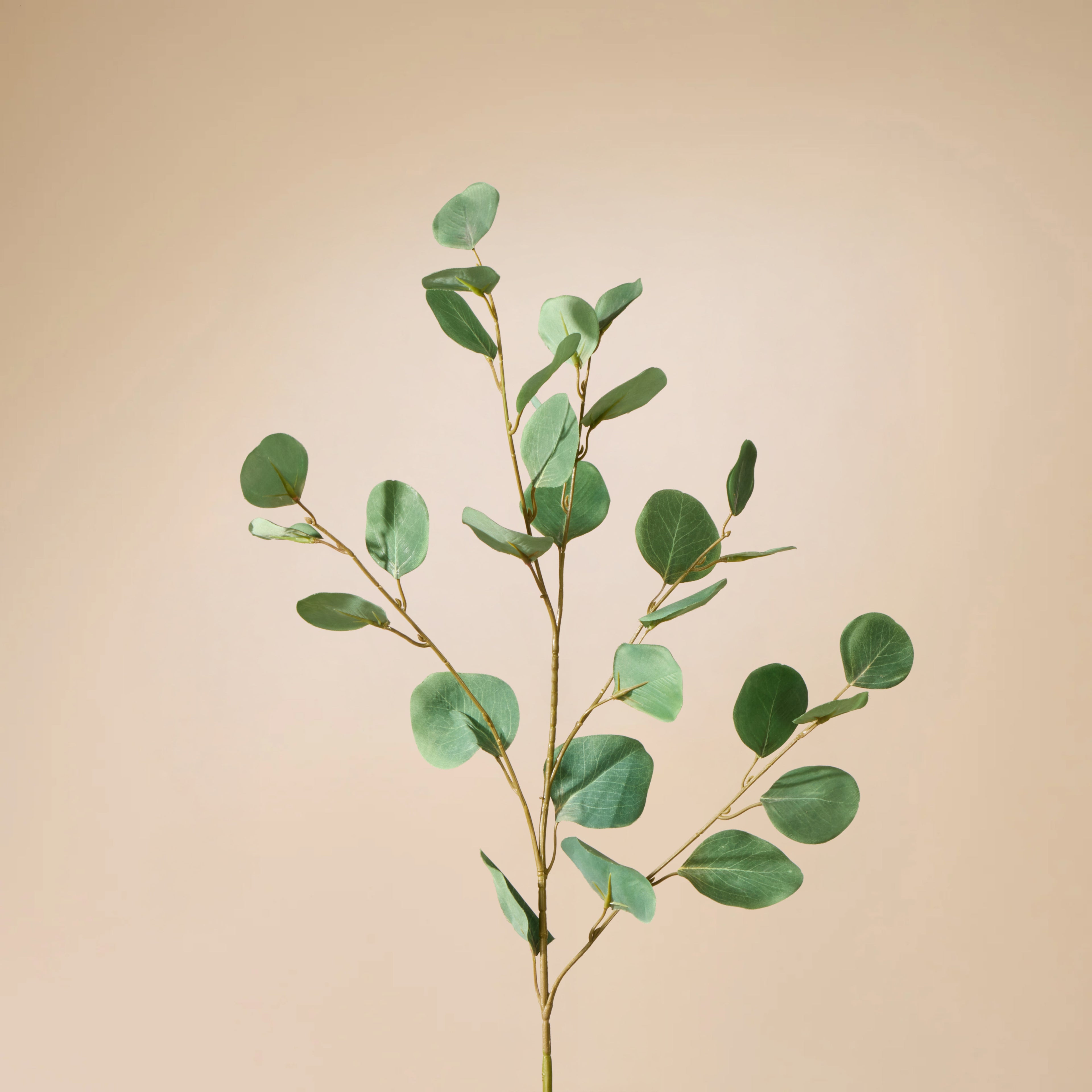 Faux Silver Dollar Eucalyptus Spray | Green - 90cm