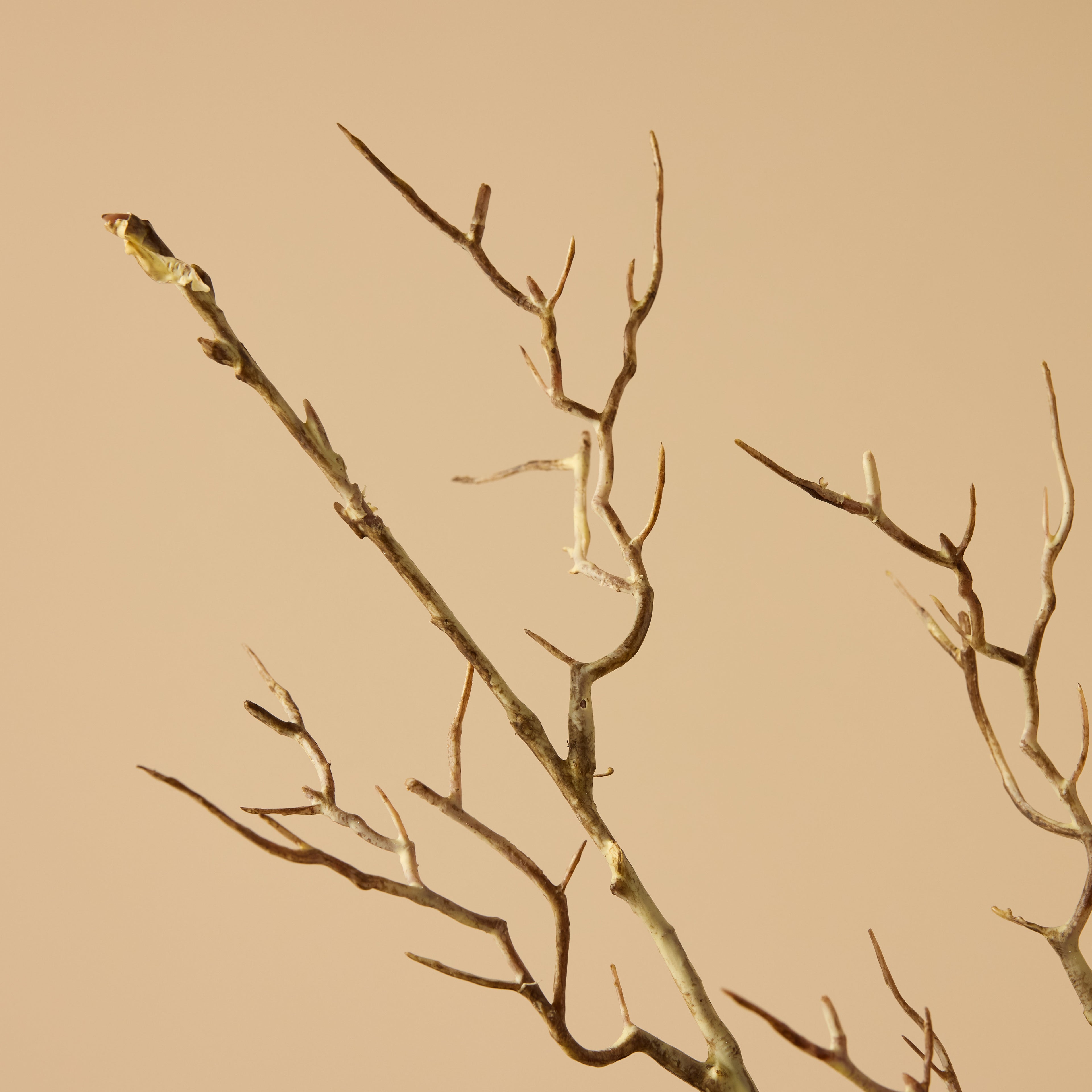 Faux Allium Spray Arrangement - Maliah Pot Black | Burgundy - 65cm