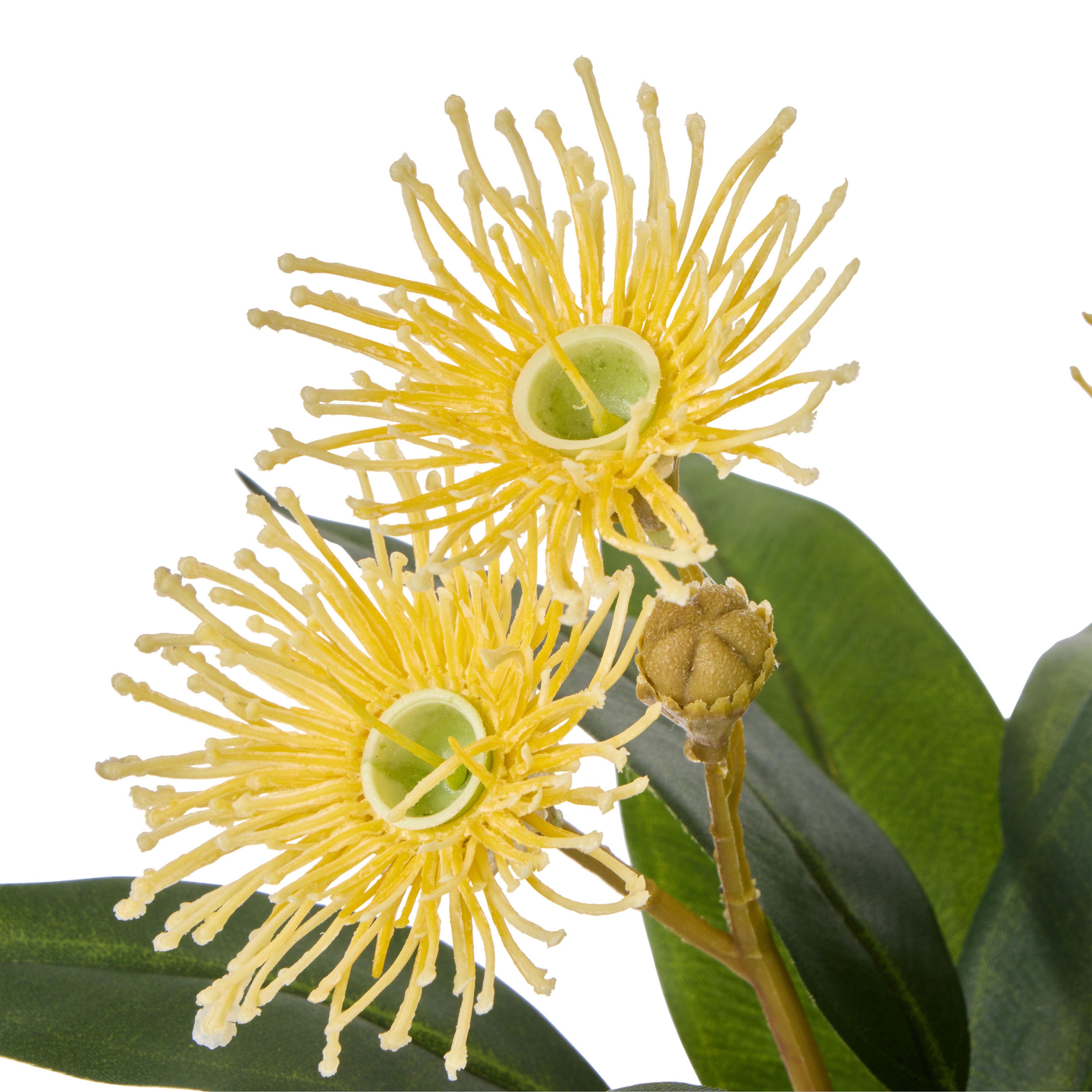 Faux Flowering Eucalyptus - Phoebe Vase | Yellow - 21cm