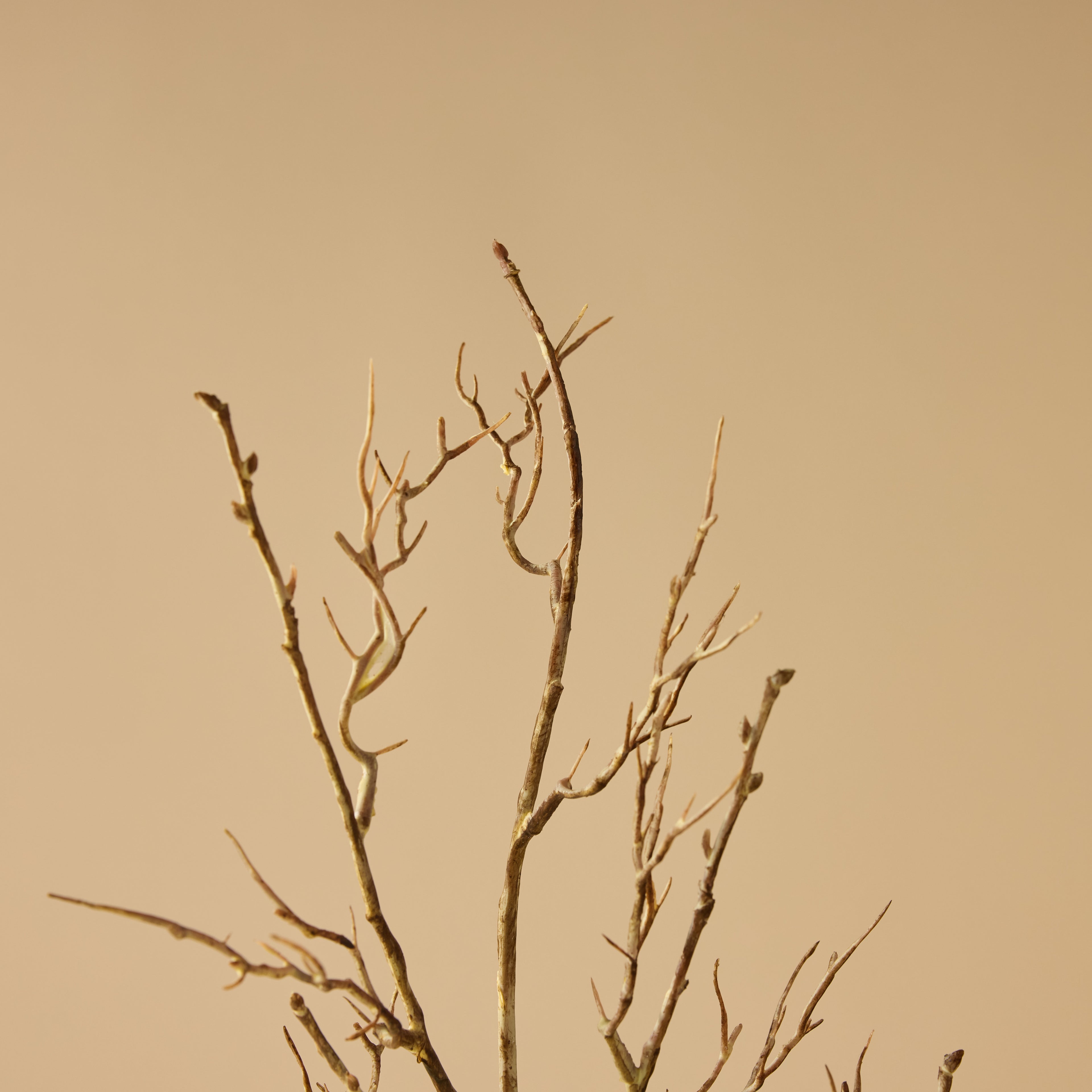 Faux Hydrangea Allium Arrangement - Maliah Pot | Green - 76cm