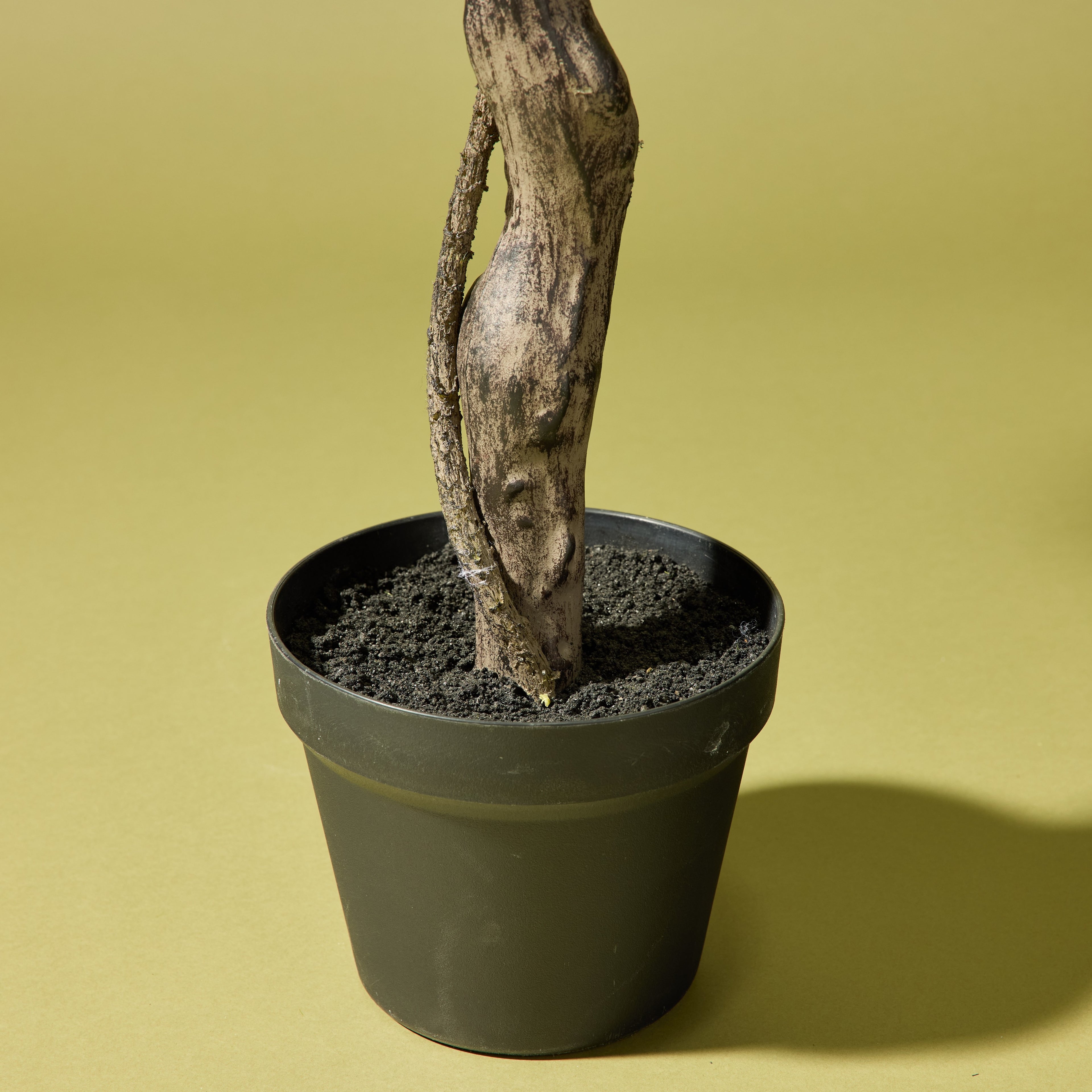 Faux Ginkgo Tree - Garden Pot | 173cm