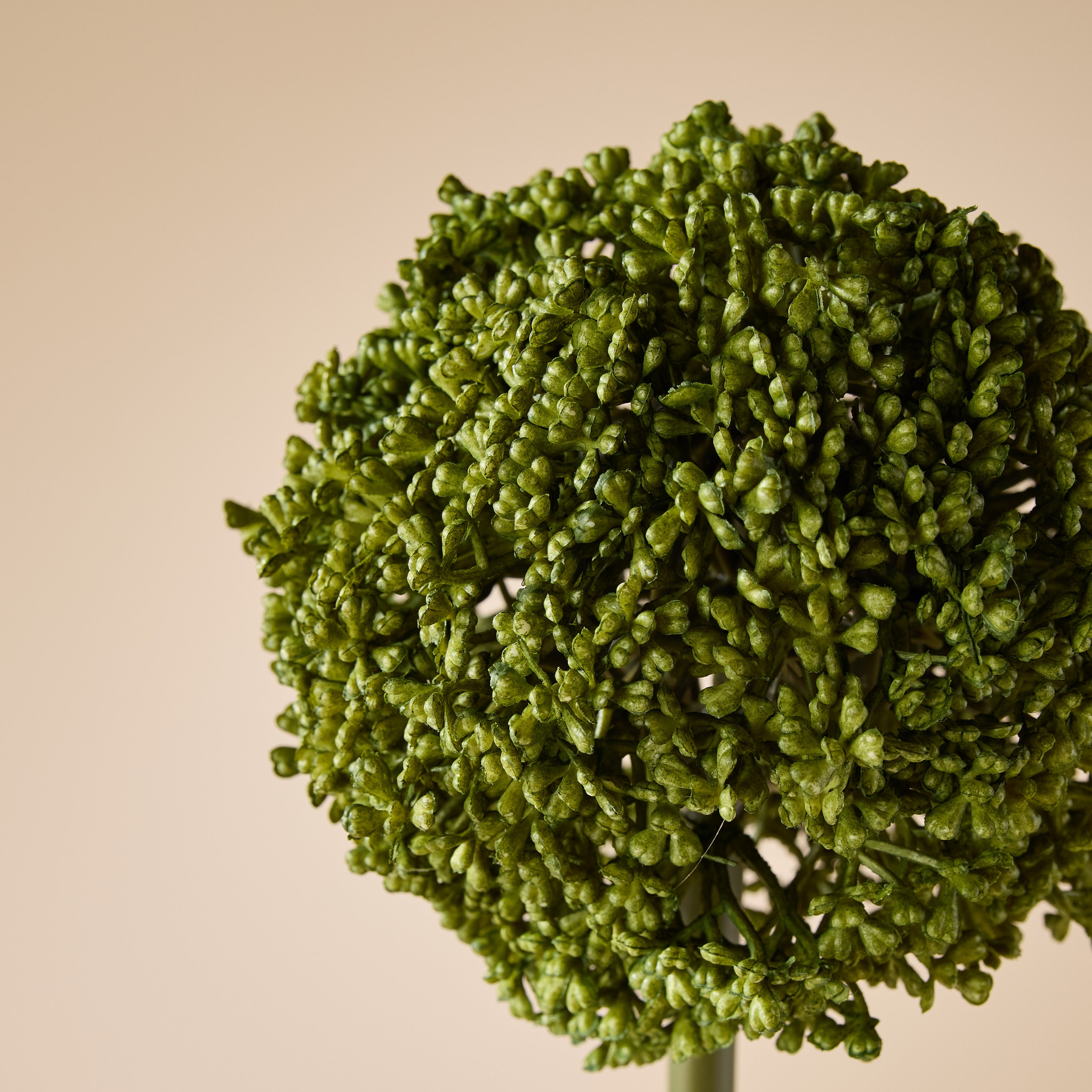 Faux Allium Stem | Green - 76cm