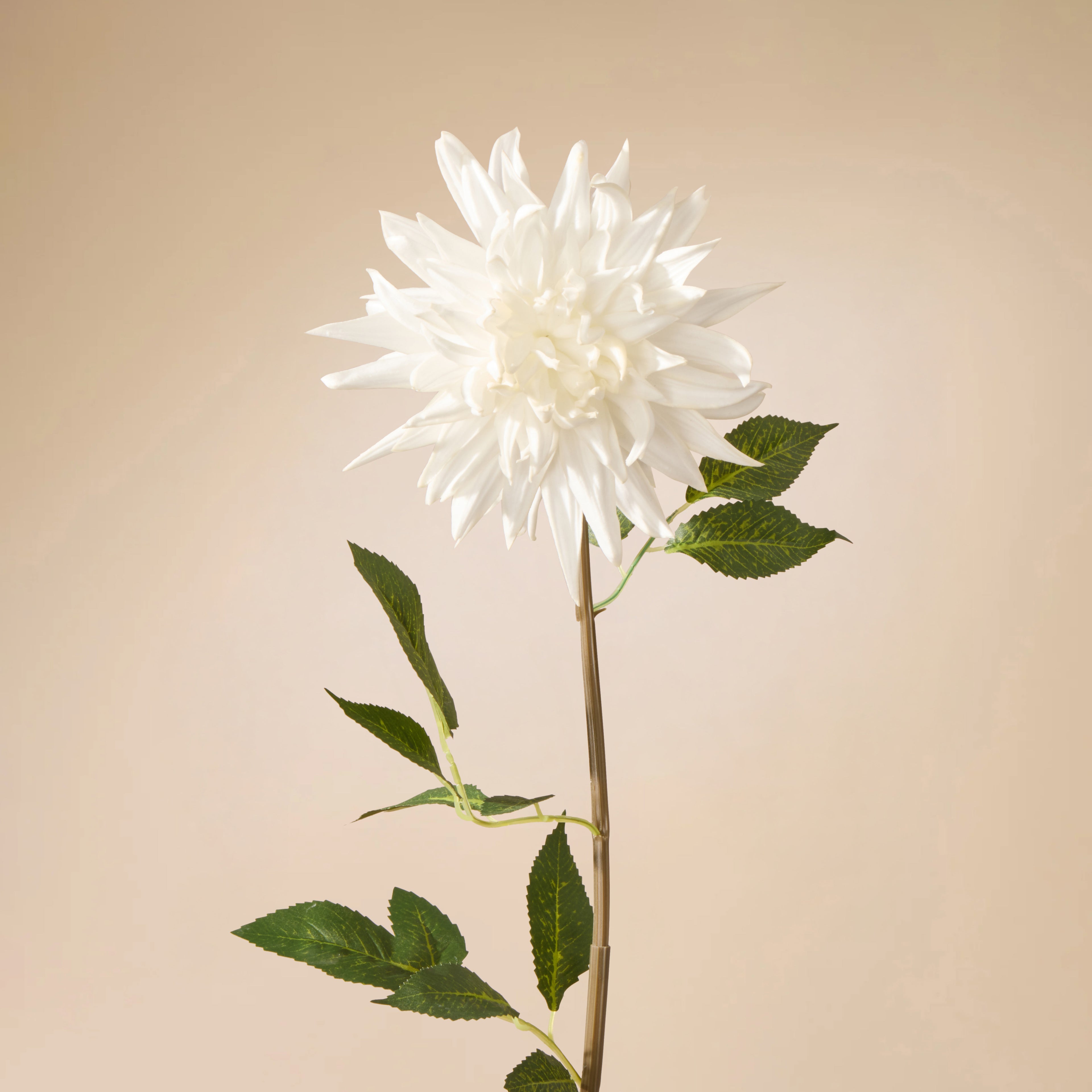 Faux Dahlia Stem | White - 88cm