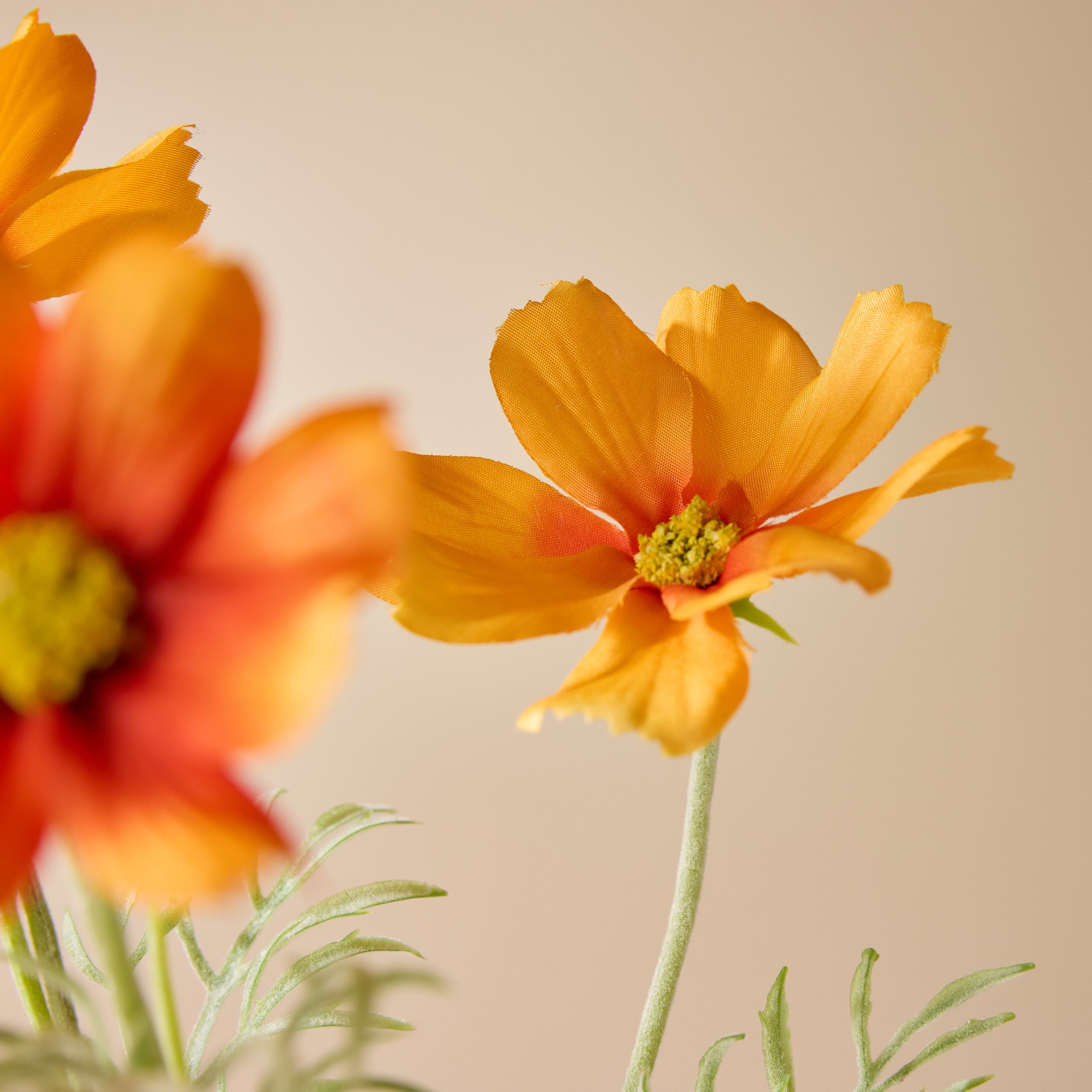 Faux Cosmos Flower Spray - Orange | Caldera Vase Stem Set | Three Birds Set