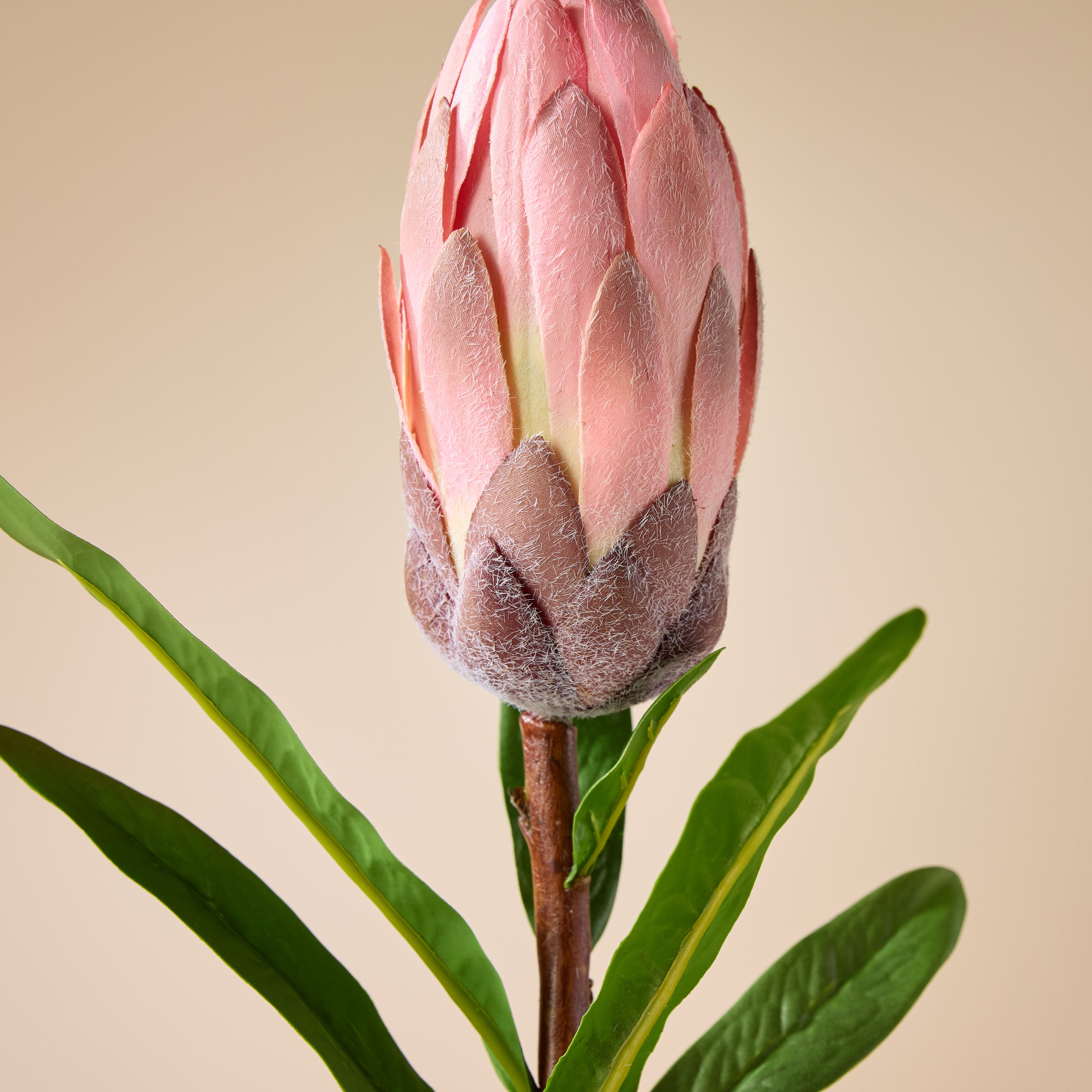 Faux Flocked Protea Stem | Pink -  61cm