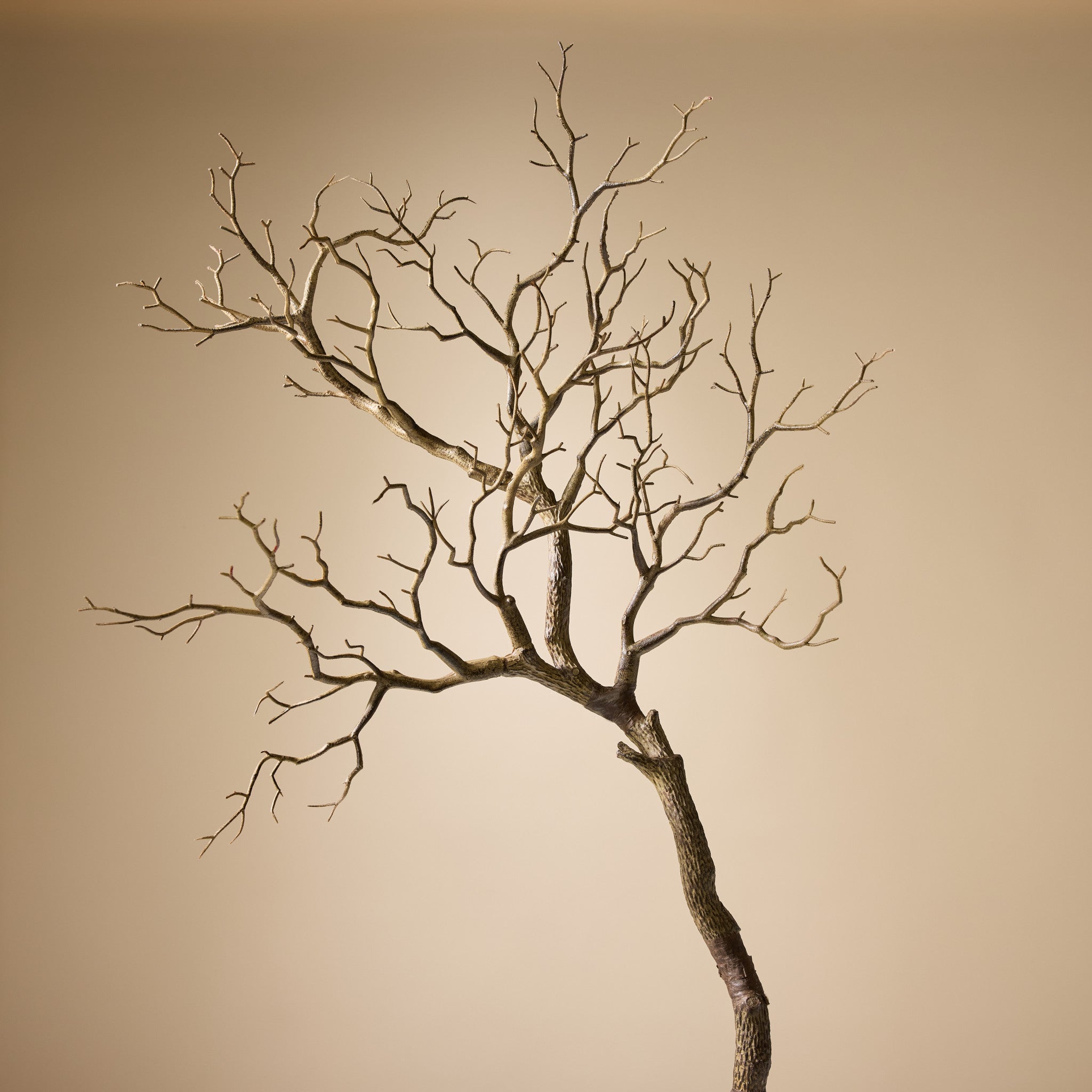 Faux Single Try Branch | 89cm