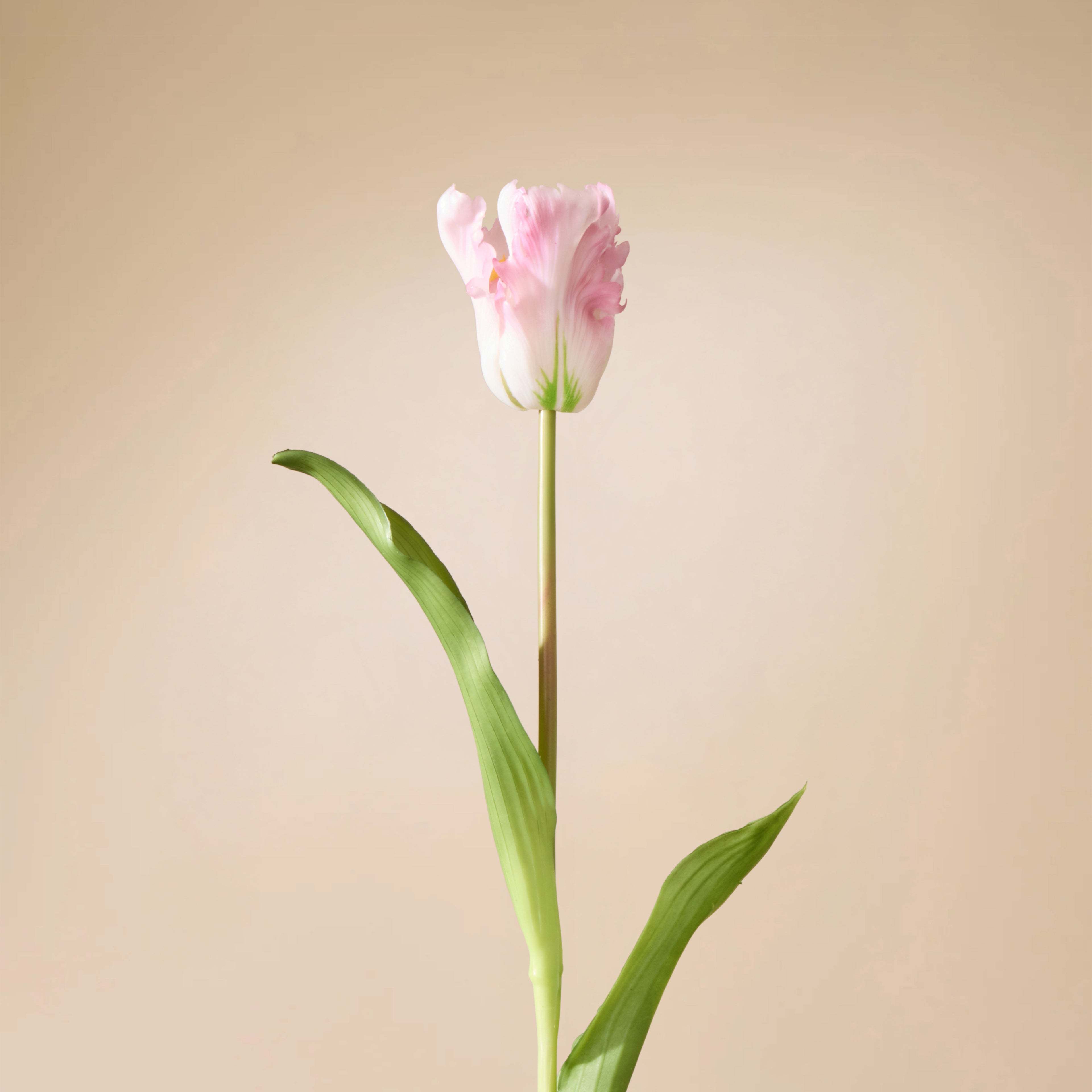 Faux Parrot Tulip Stem | Pink - 48cm