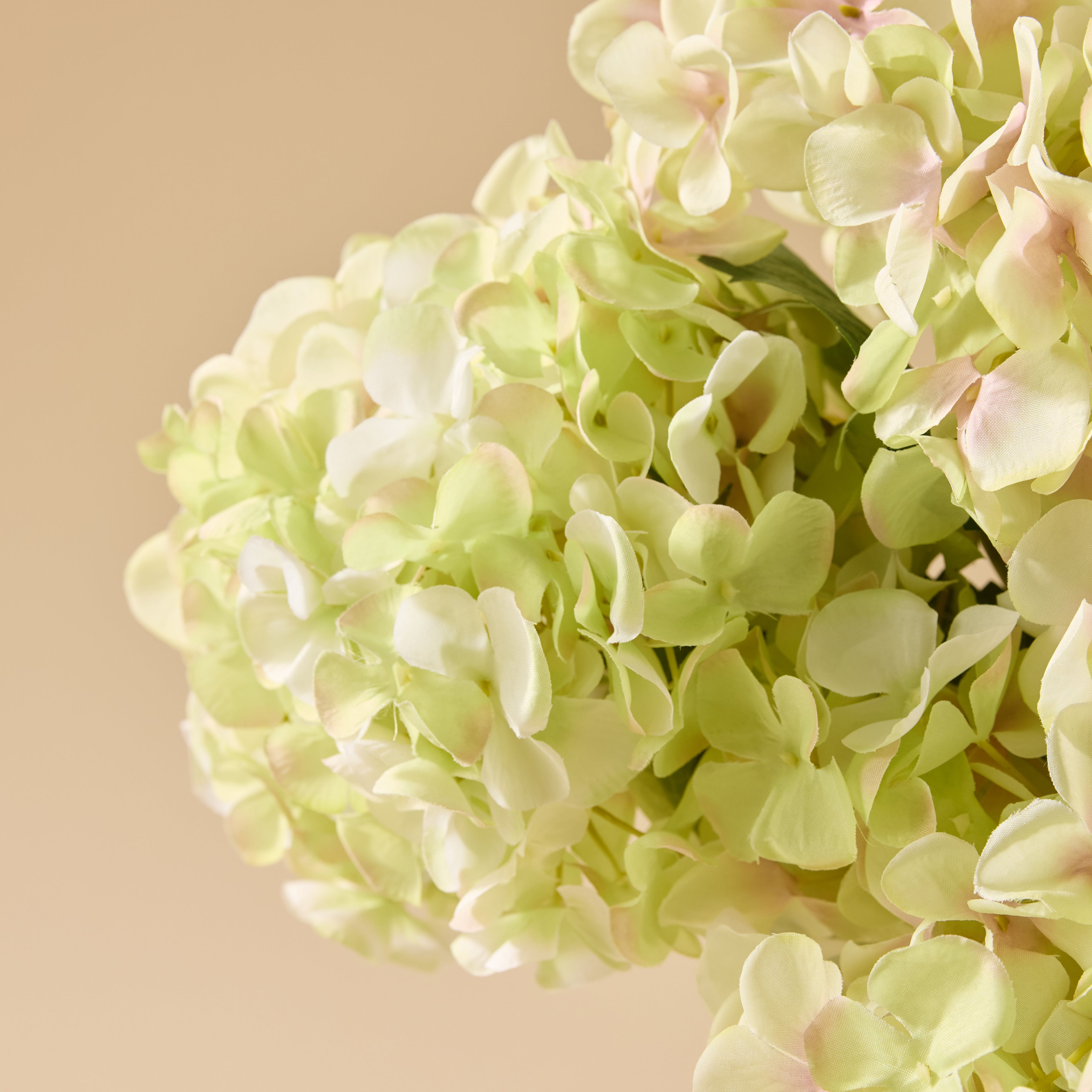 Faux Hydrangea Allium Arrangement - Maliah Pot | Green - 76cm