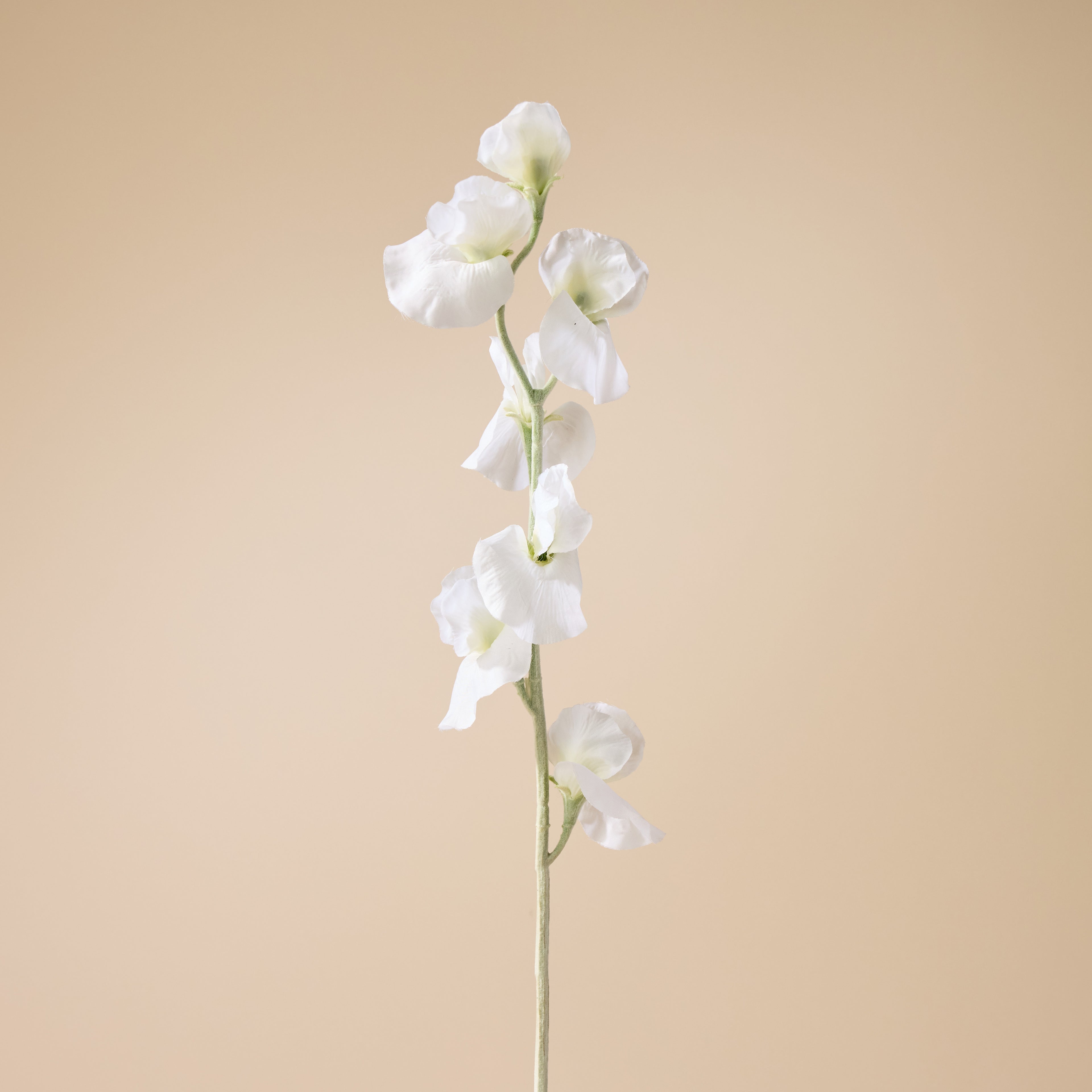 Faux Sweet Pea Spray | Cream - 64cm