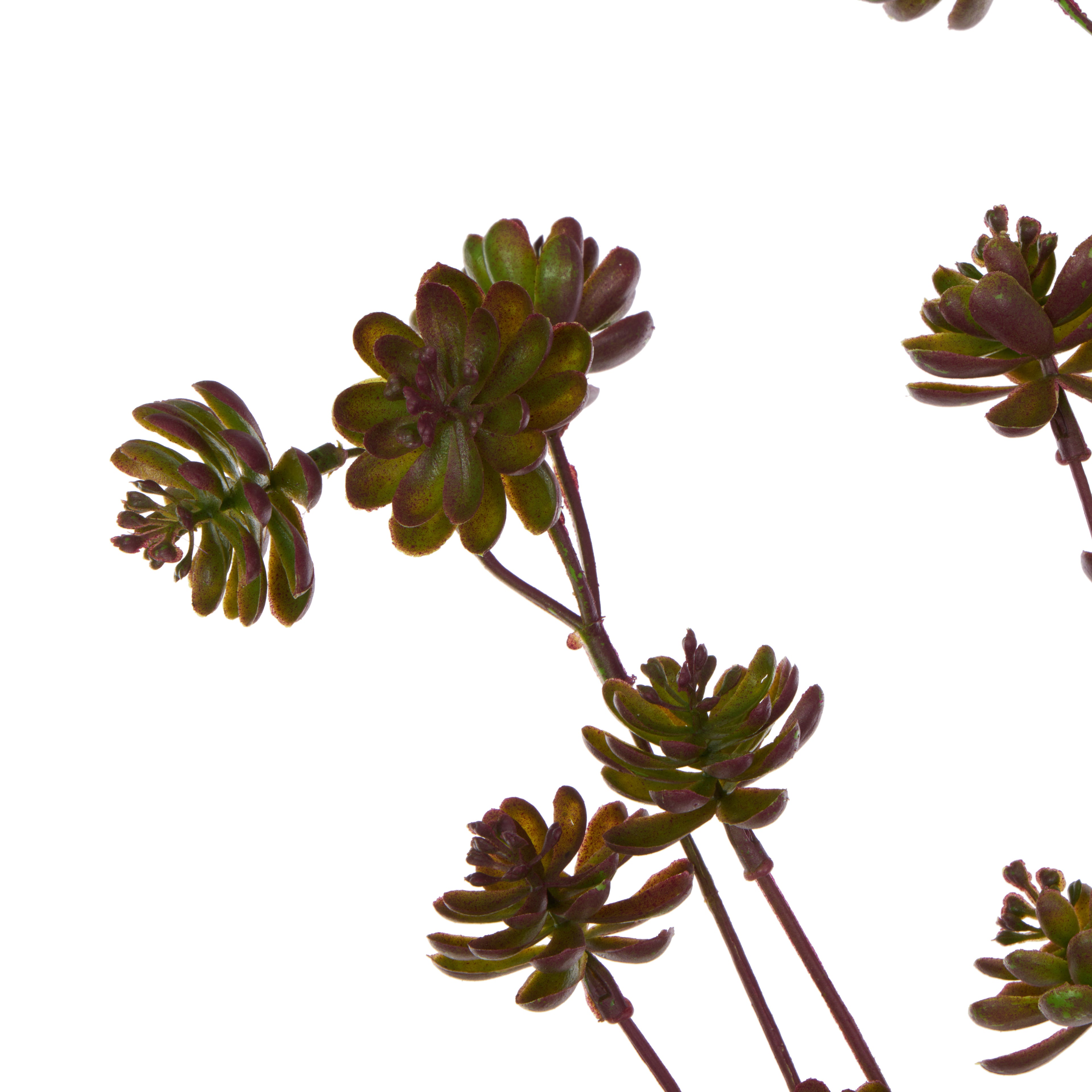 Faux Succulent Spray | Burgundy - 97cm