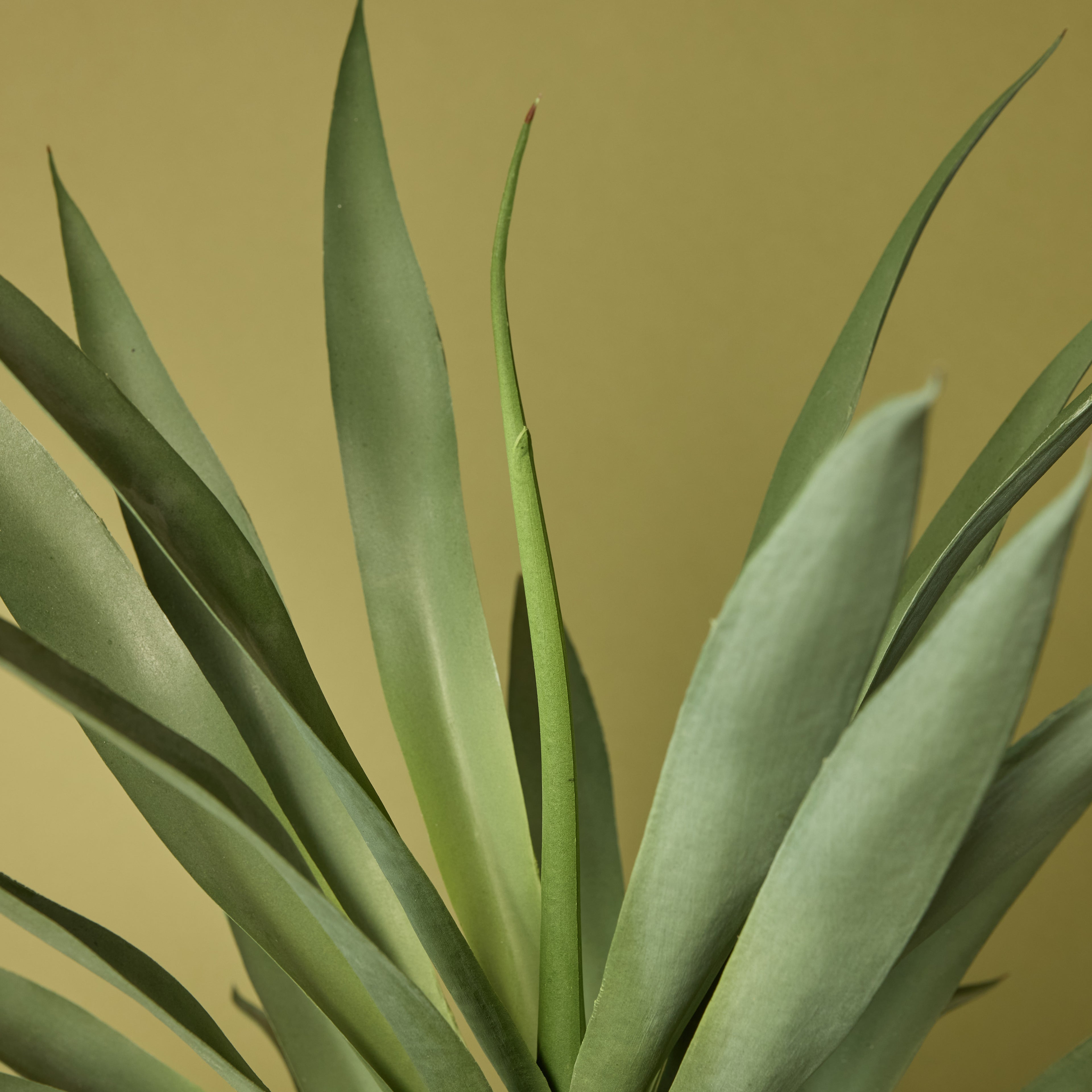 Faux Yucca Plant - Lyon Planter | Grey - 78cm