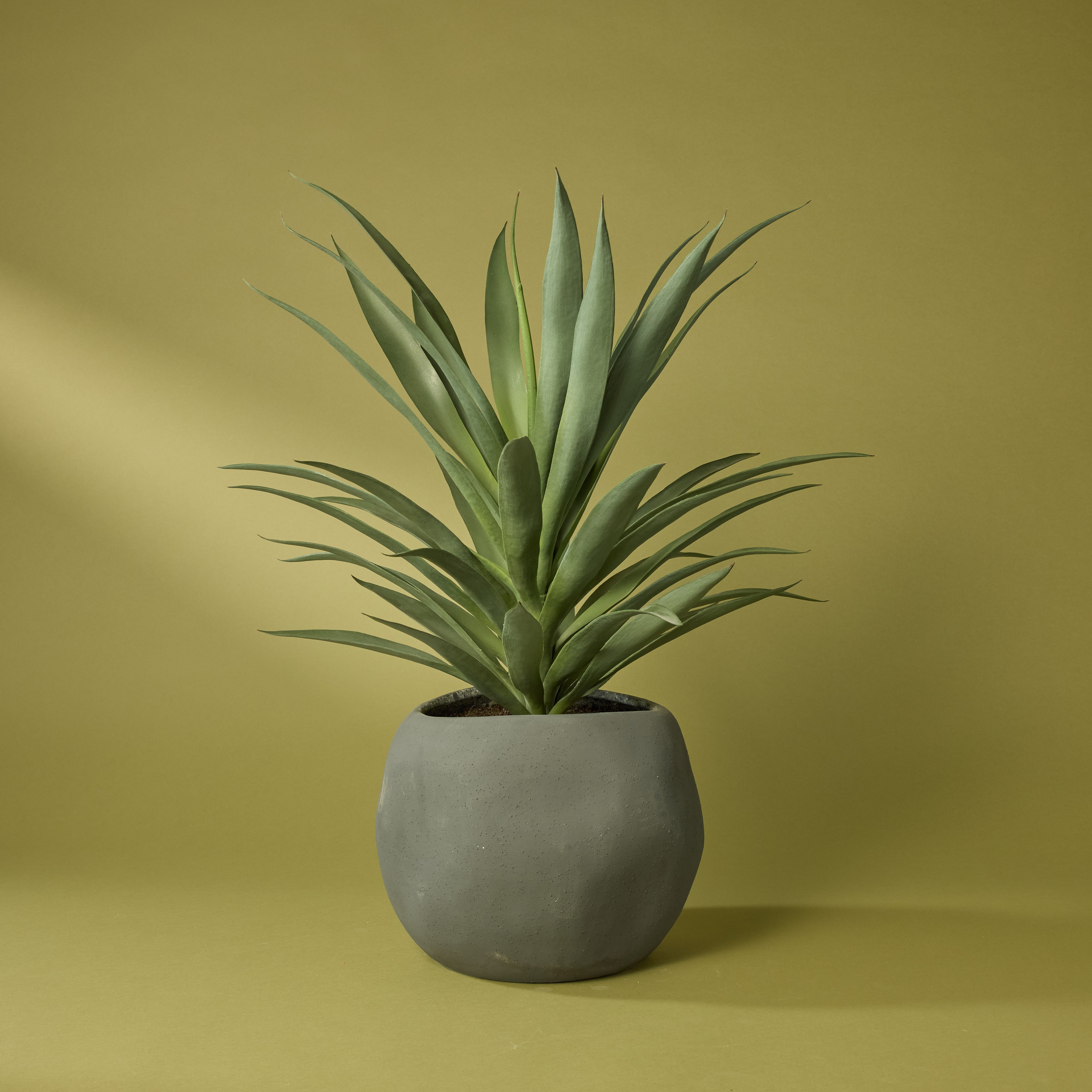 Faux Yucca Plant - Lyon Planter | Grey - 78cm